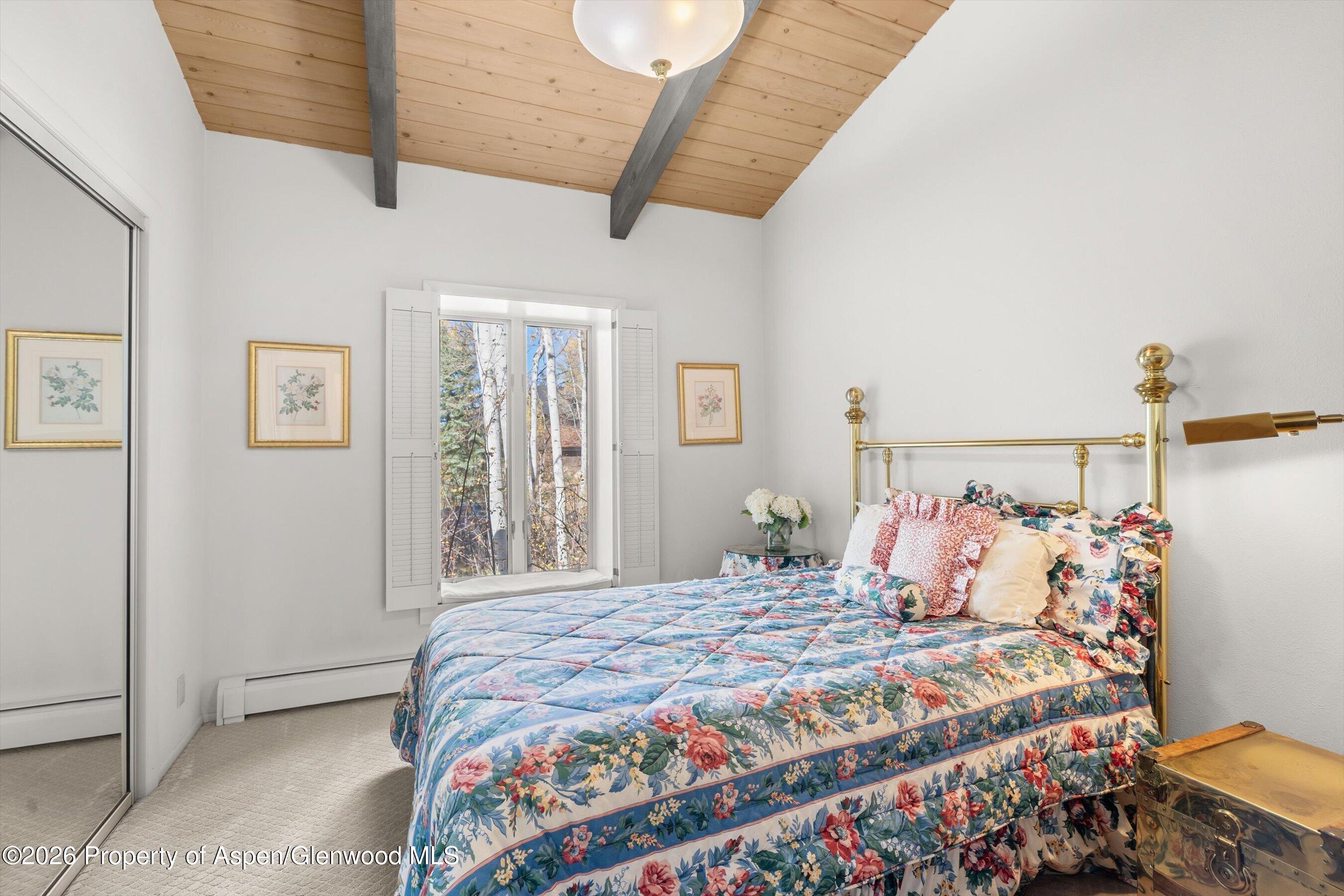 308 Mcskimming Road Aspen CO 81611