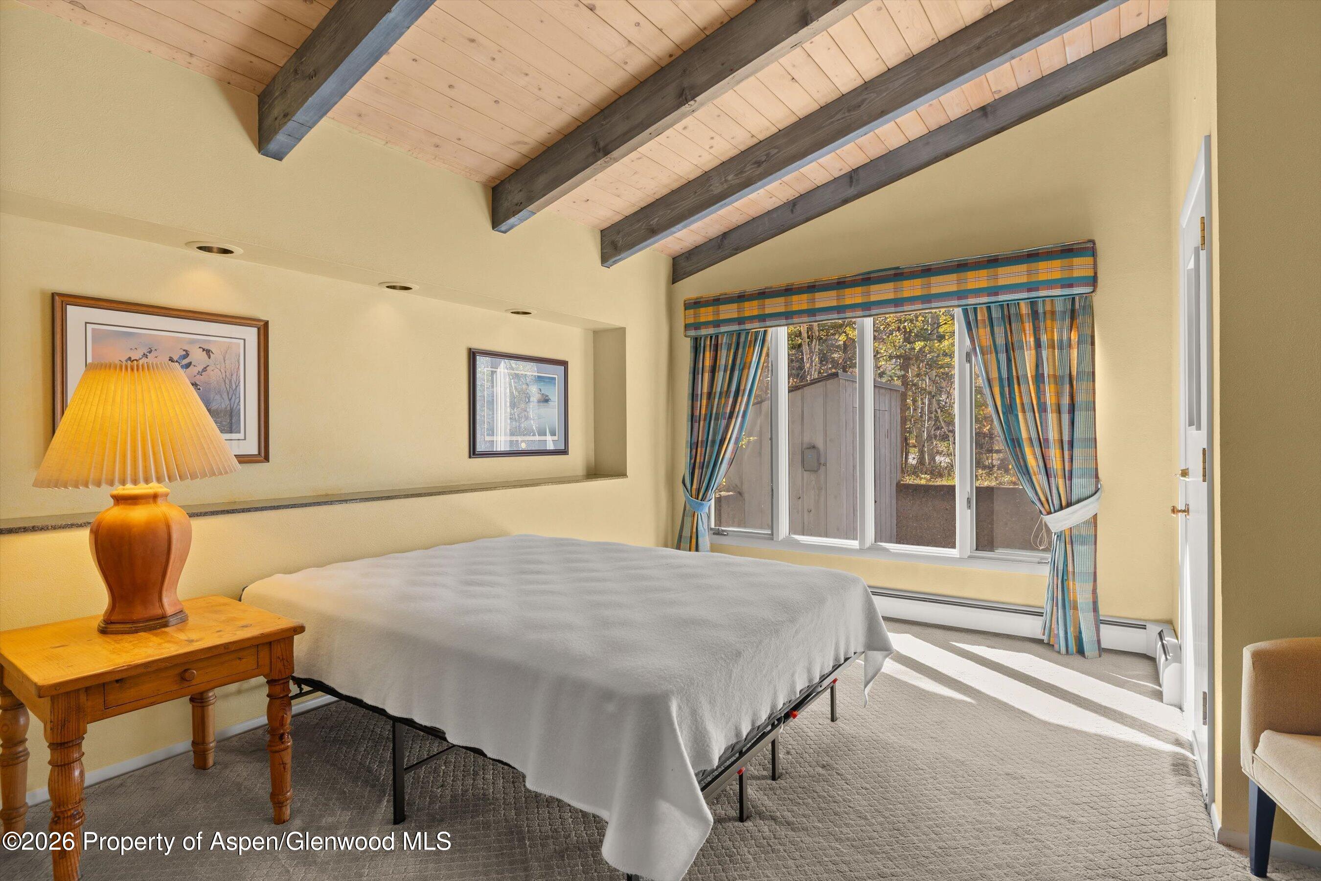 308 Mcskimming Road Aspen CO 81611