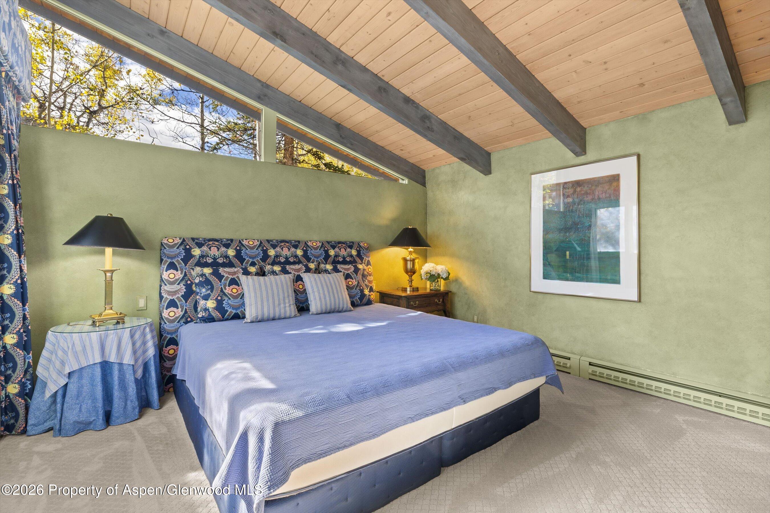 308 Mcskimming Road Aspen CO 81611