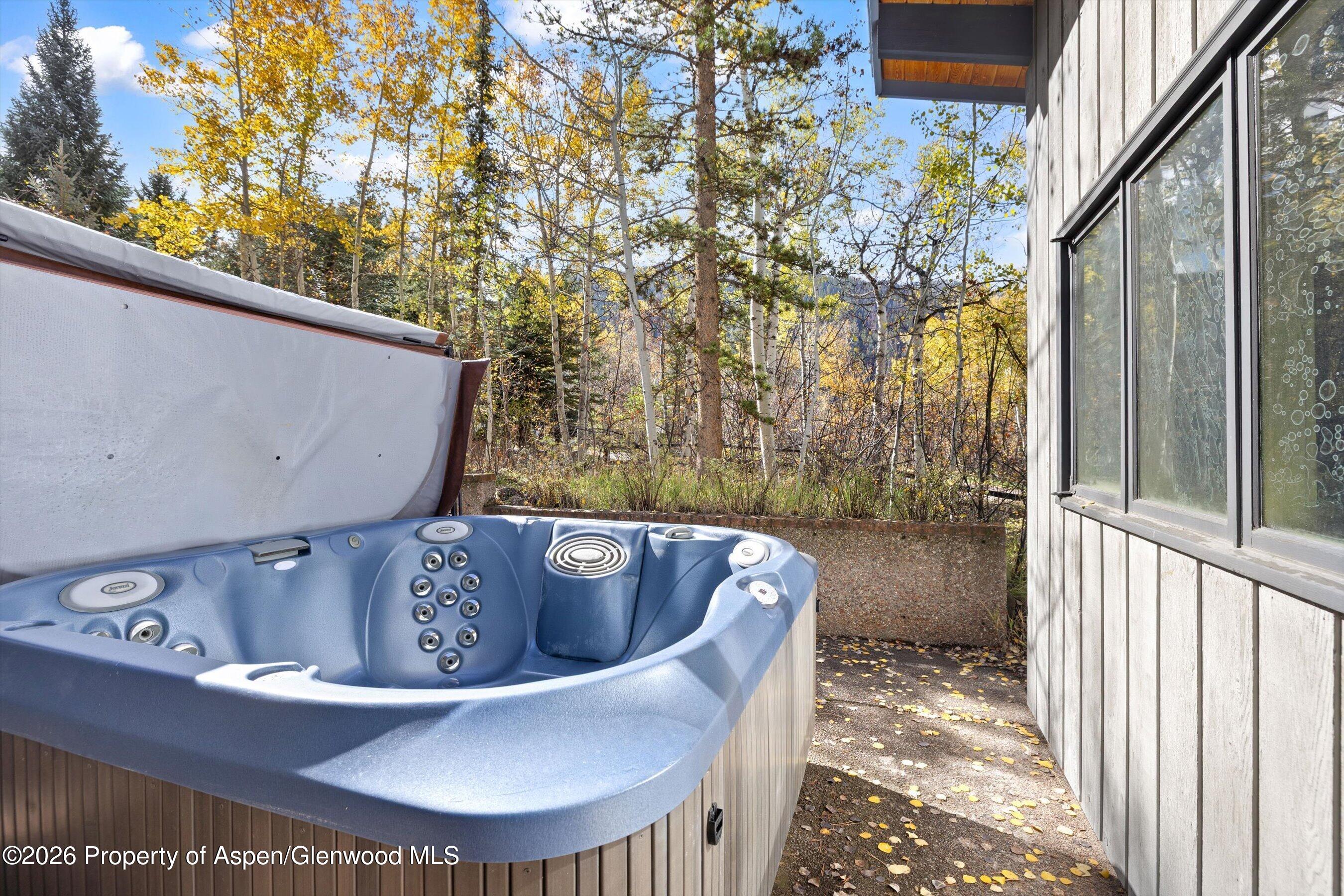 308 Mcskimming Road Aspen CO 81611