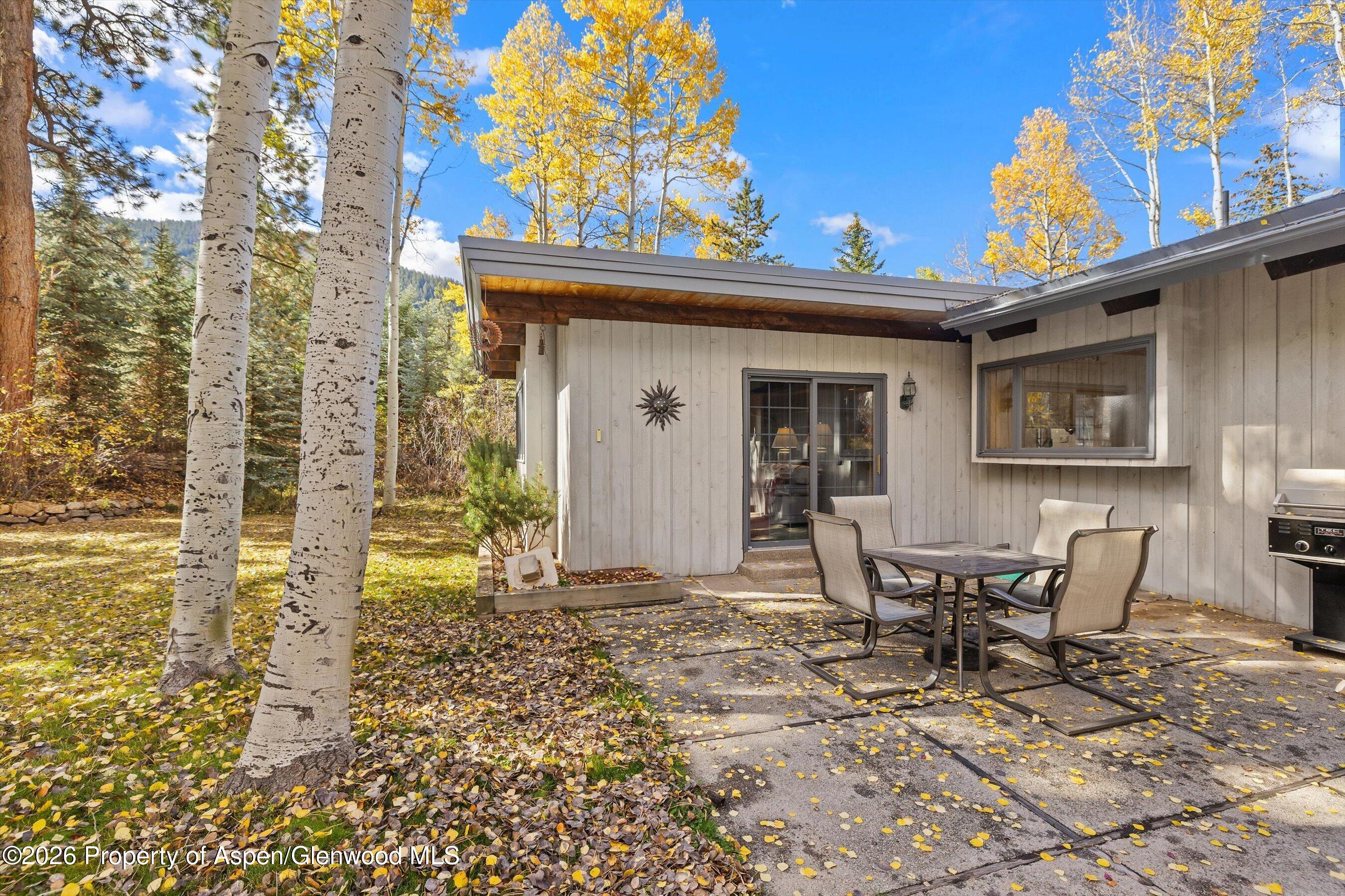 308 Mcskimming Road Aspen CO 81611