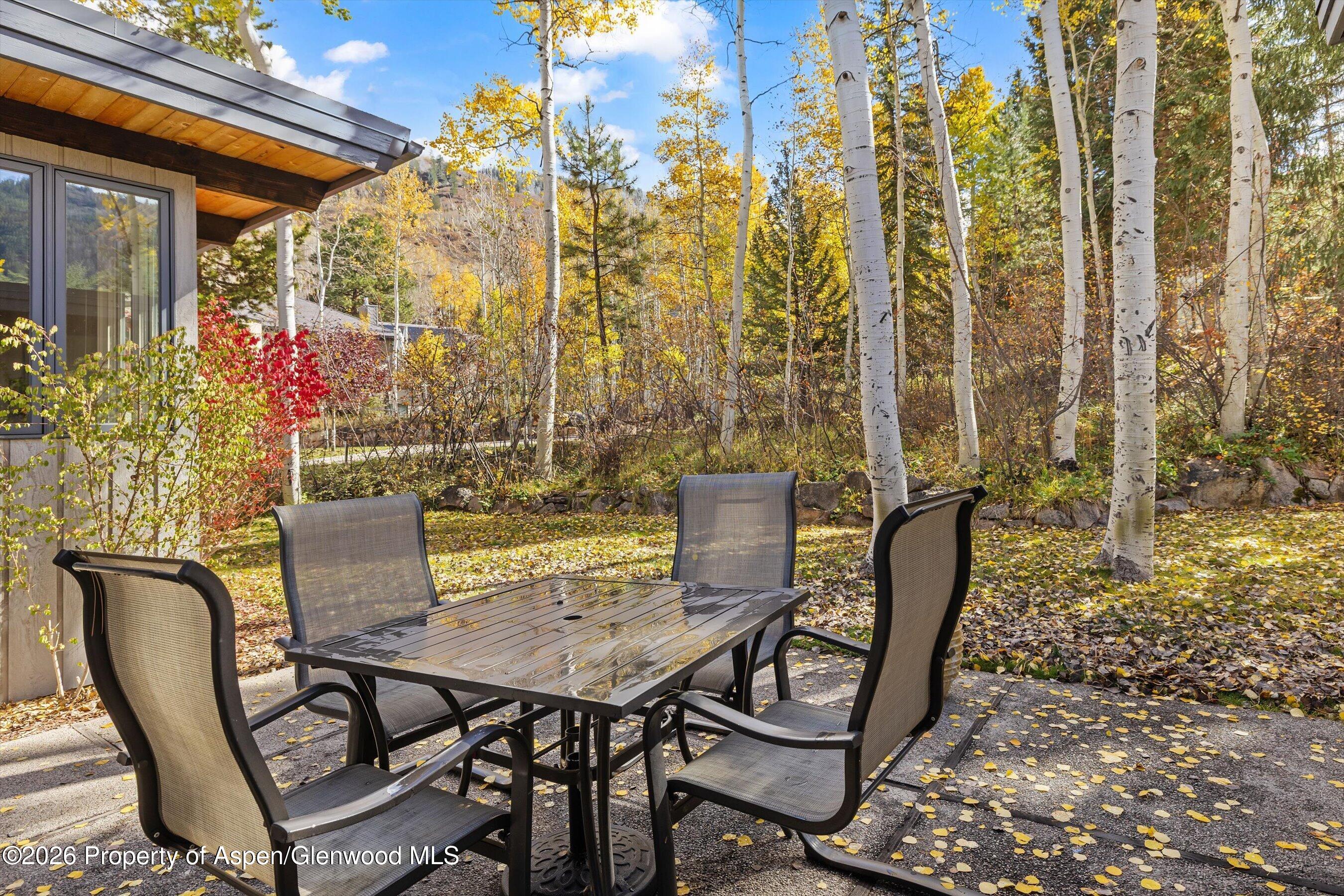 308 Mcskimming Road Aspen CO 81611