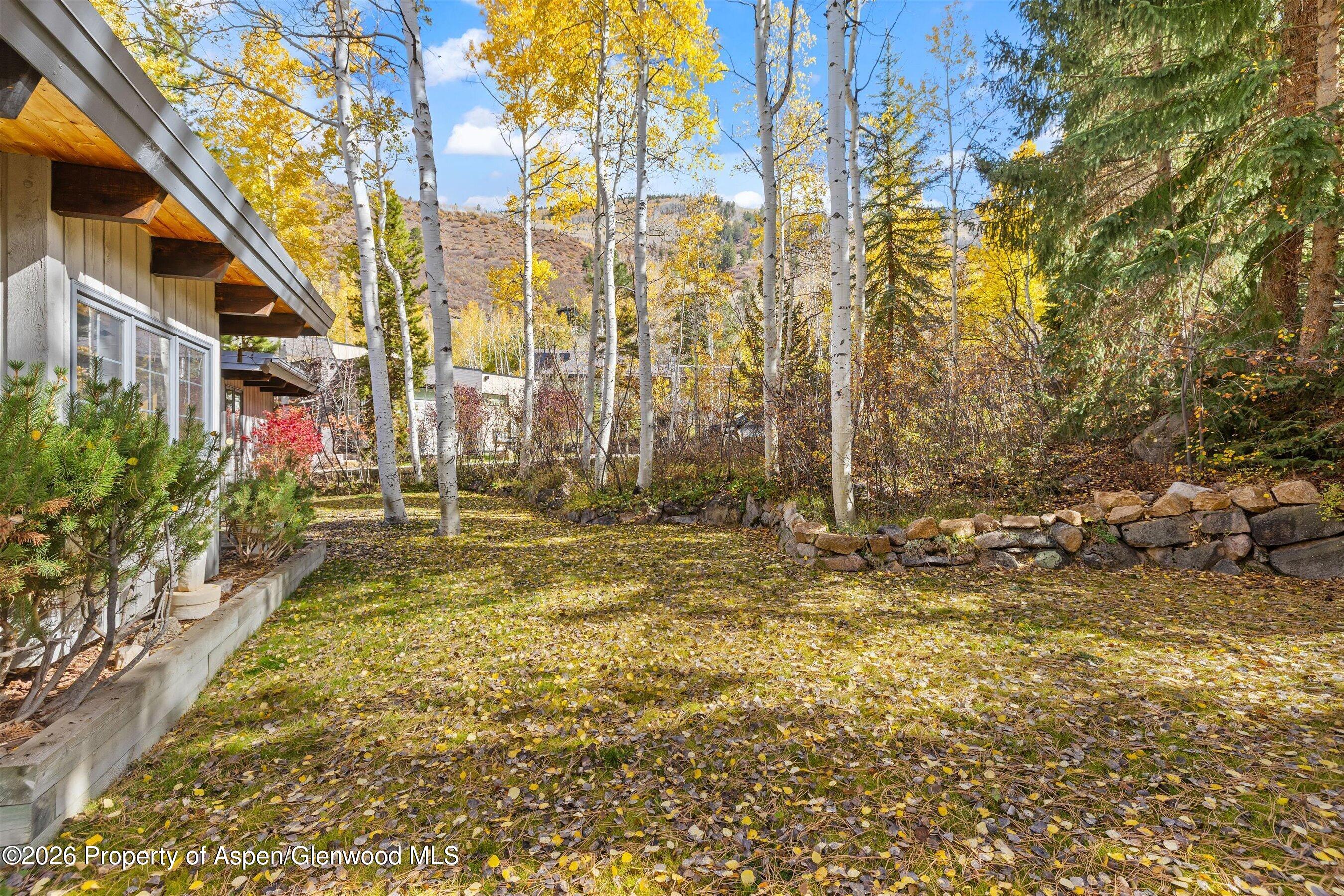 308 Mcskimming Road Aspen CO 81611