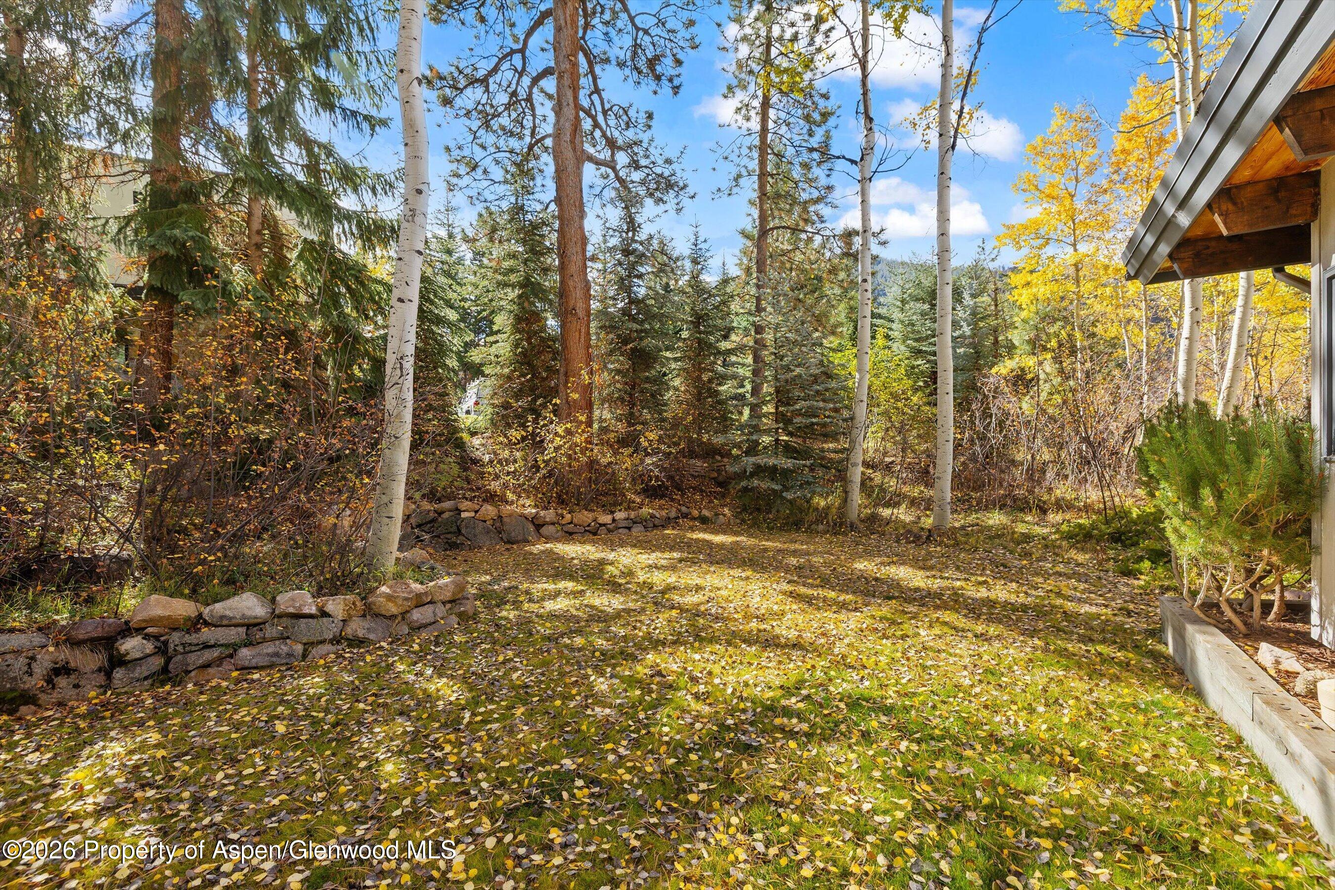 308 Mcskimming Road Aspen CO 81611