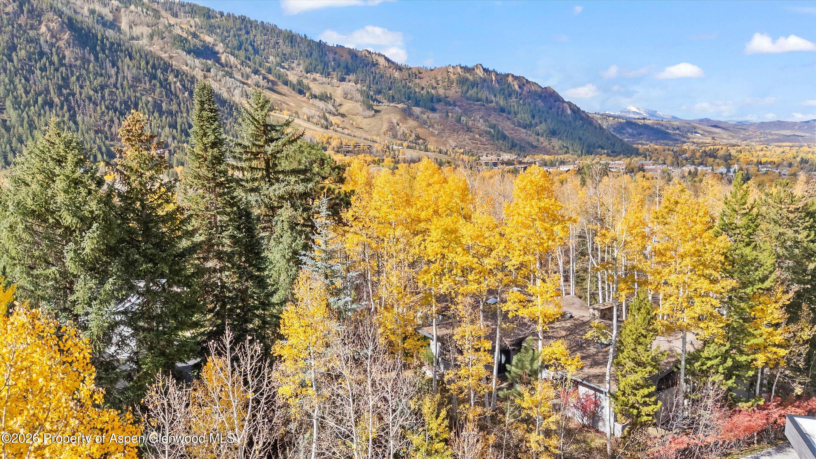 308 Mcskimming Road Aspen CO 81611