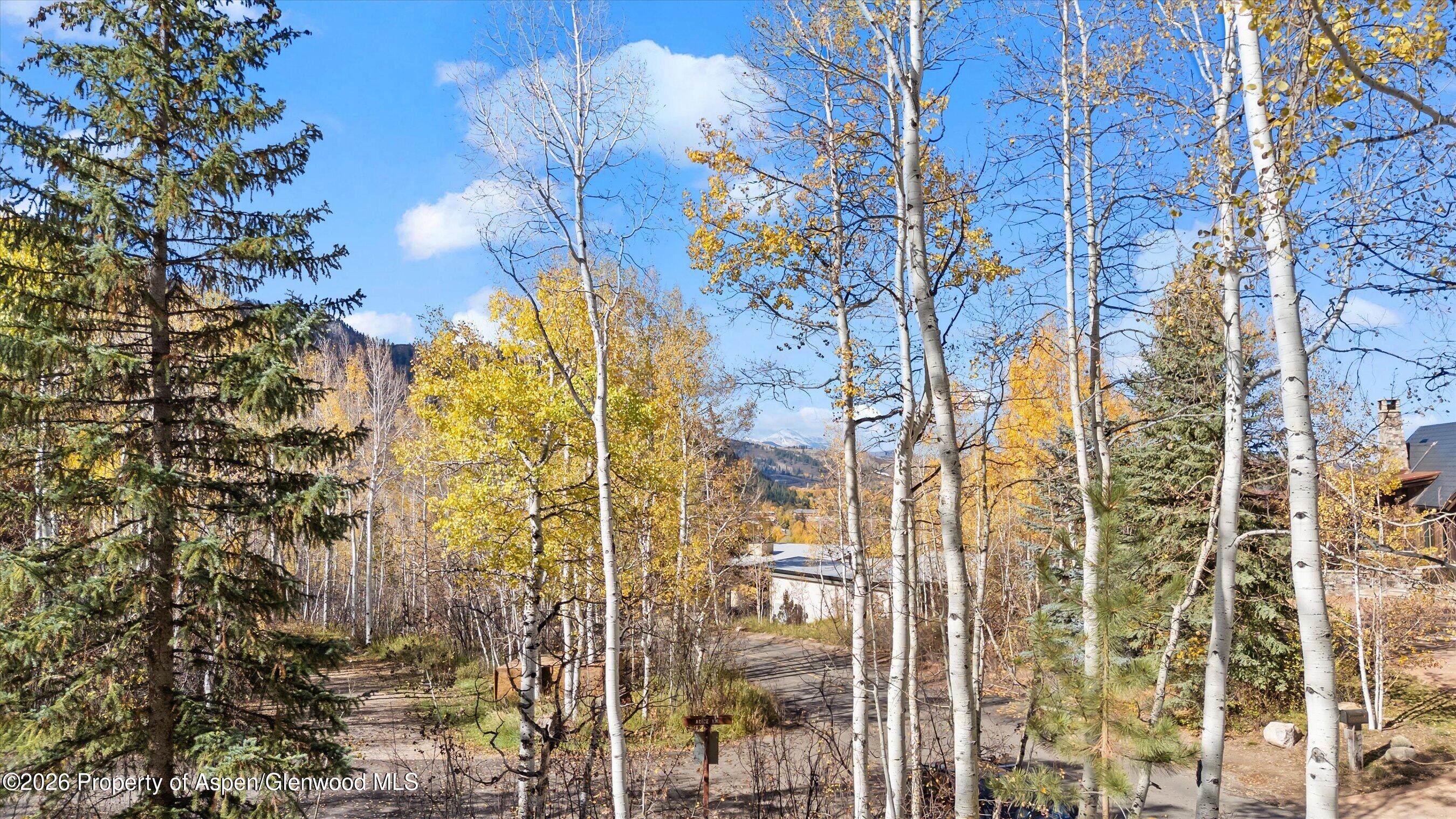 308 Mcskimming Road Aspen CO 81611