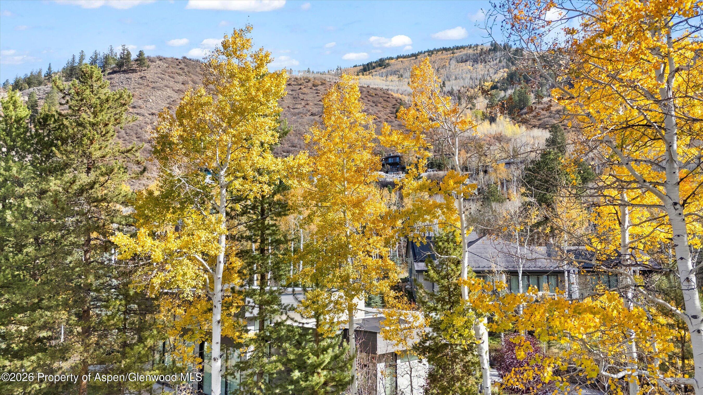 308 Mcskimming Road Aspen CO 81611