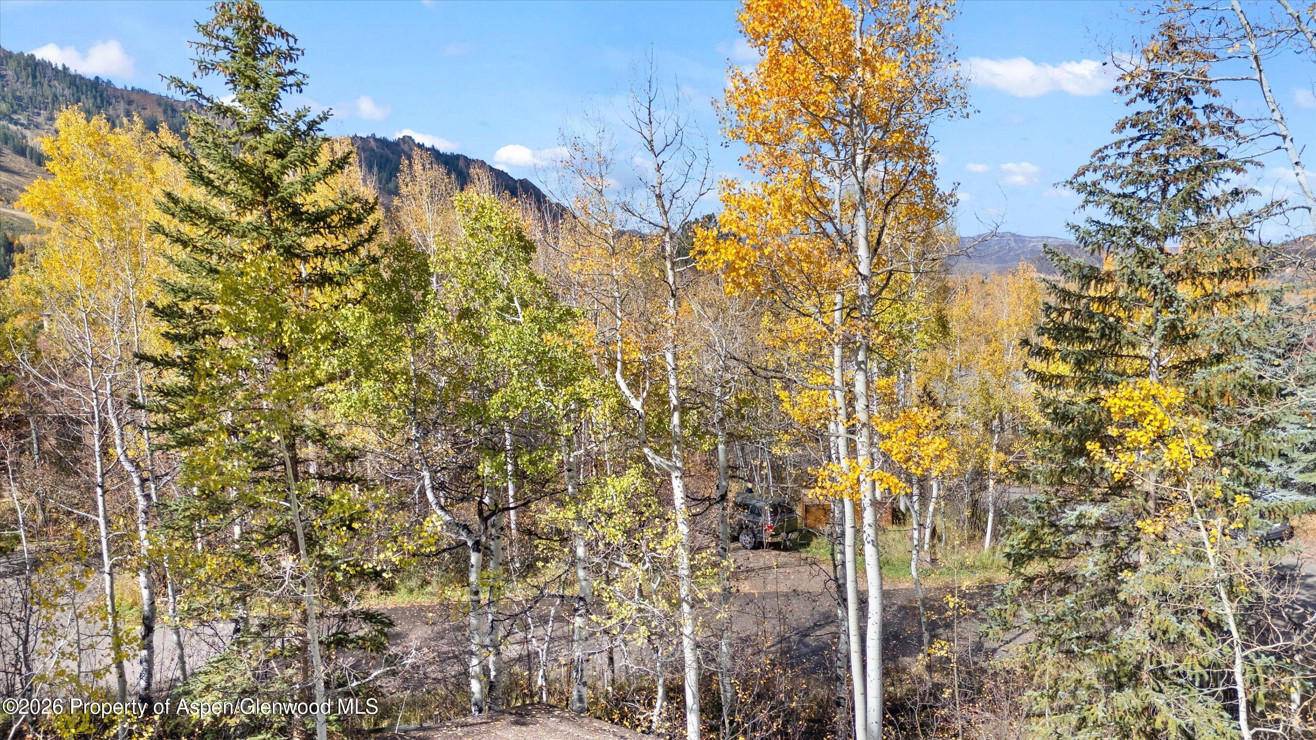 308 Mcskimming Road Aspen CO 81611