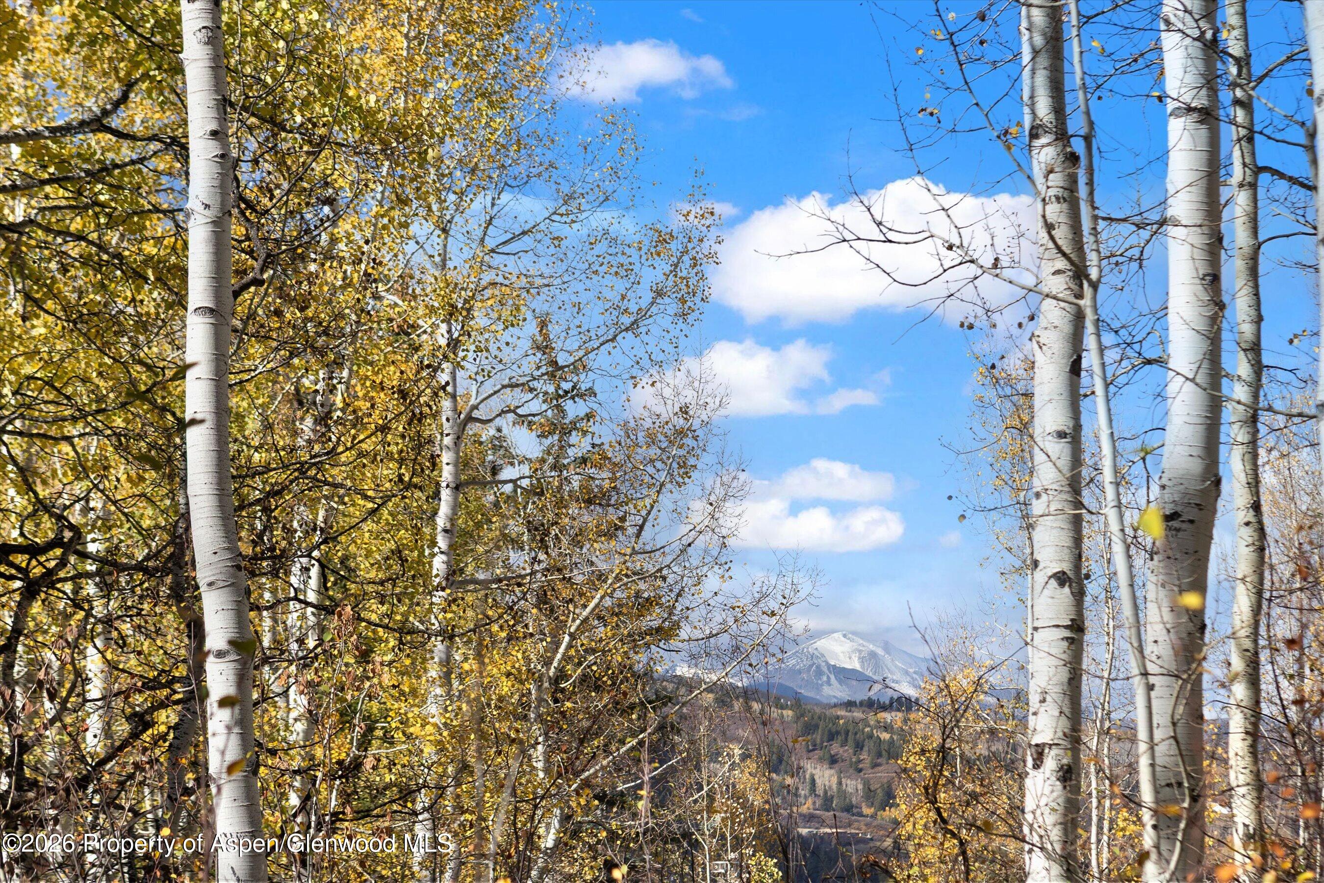 308 Mcskimming Road Aspen CO 81611