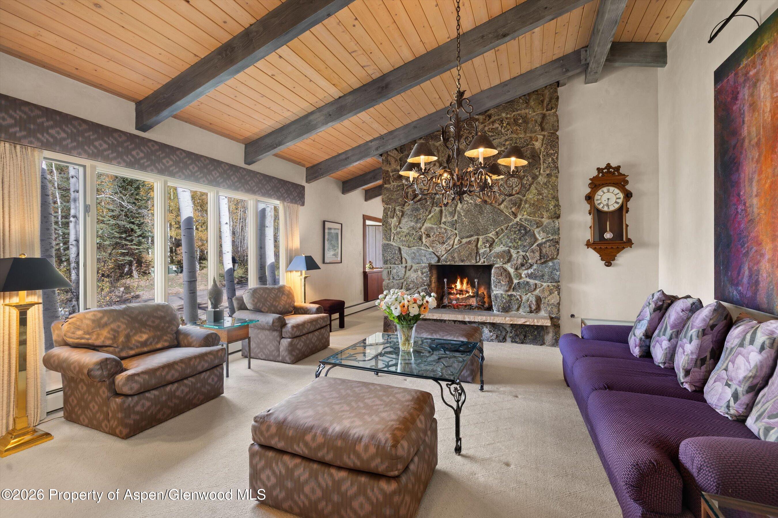 308 Mcskimming Road Aspen CO 81611