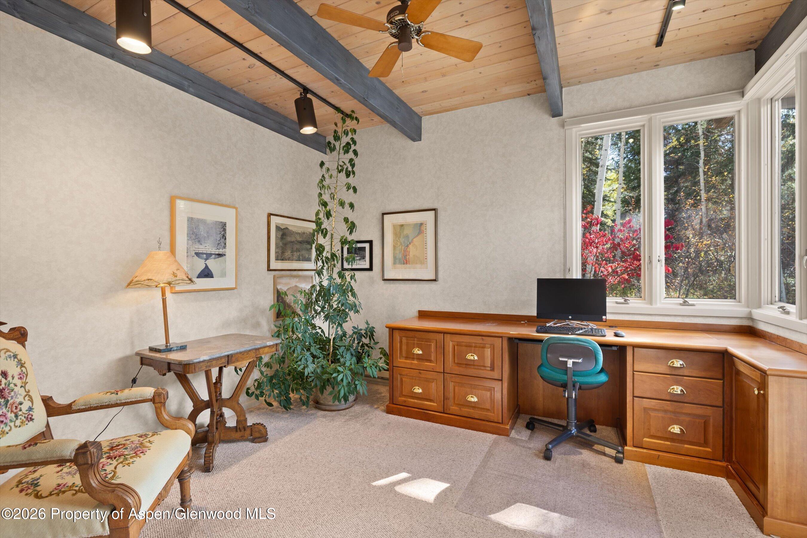 308 Mcskimming Road Aspen CO 81611