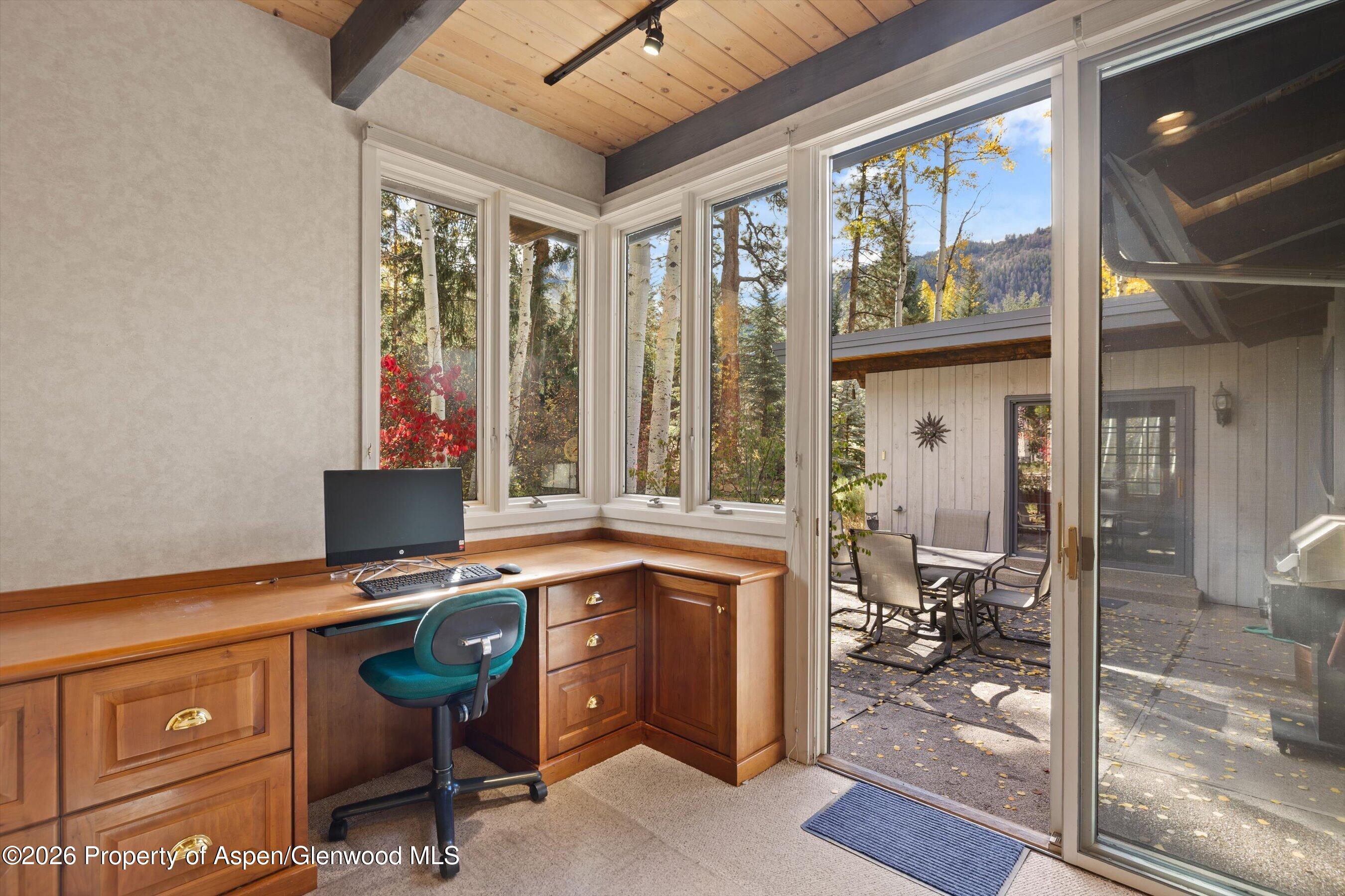308 Mcskimming Road Aspen CO 81611