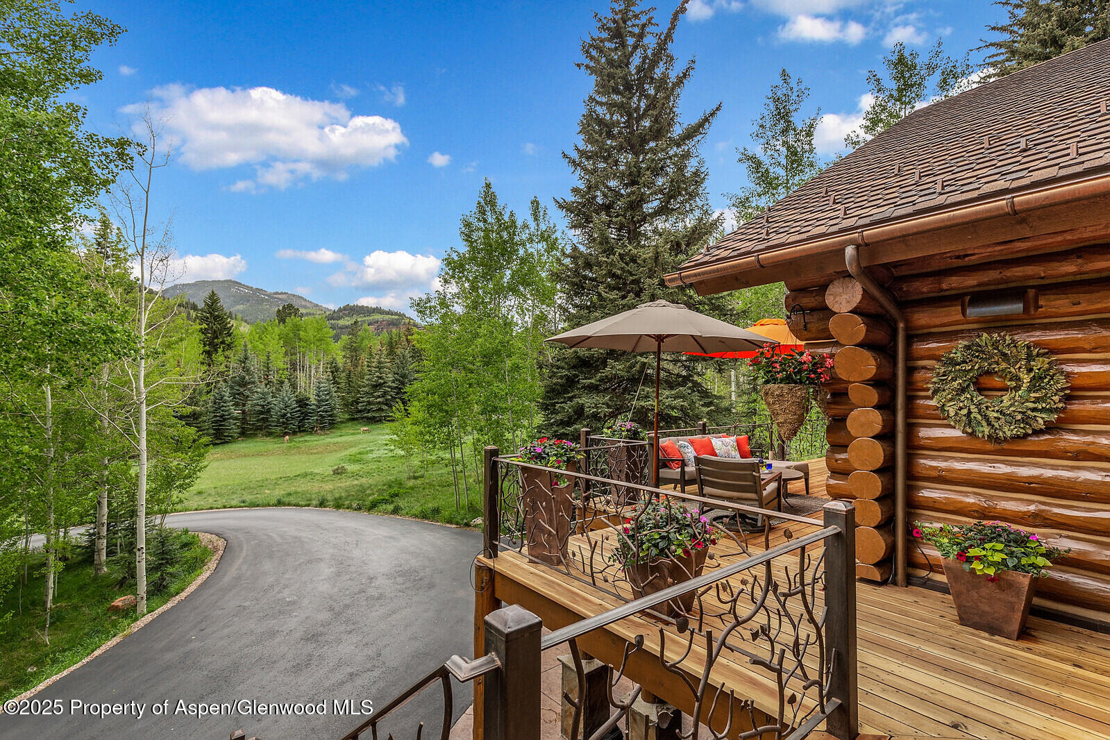 251 Chair Mountain Drive Redstone CO 81623