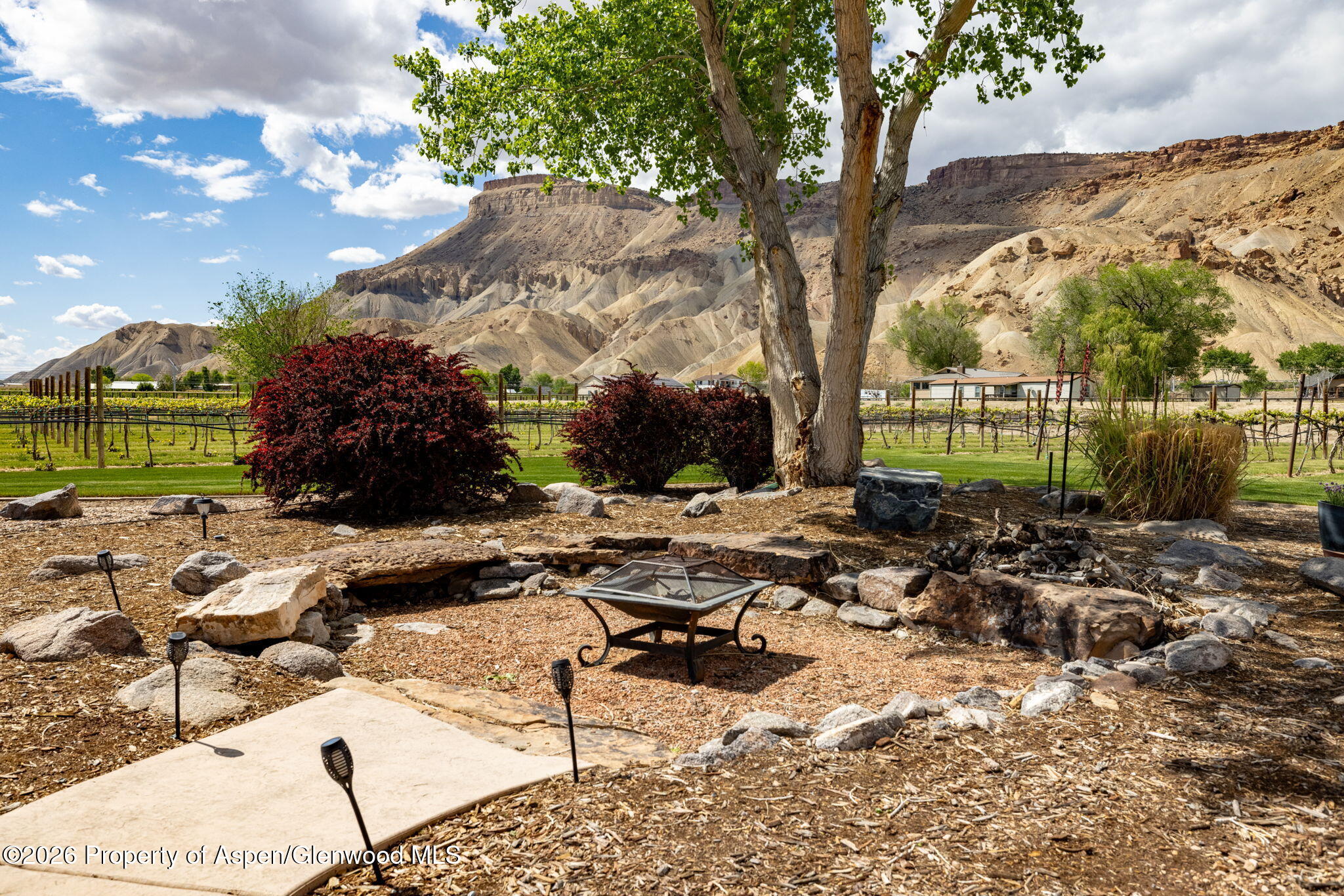 759 36 3/10 Road Palisade CO 81526