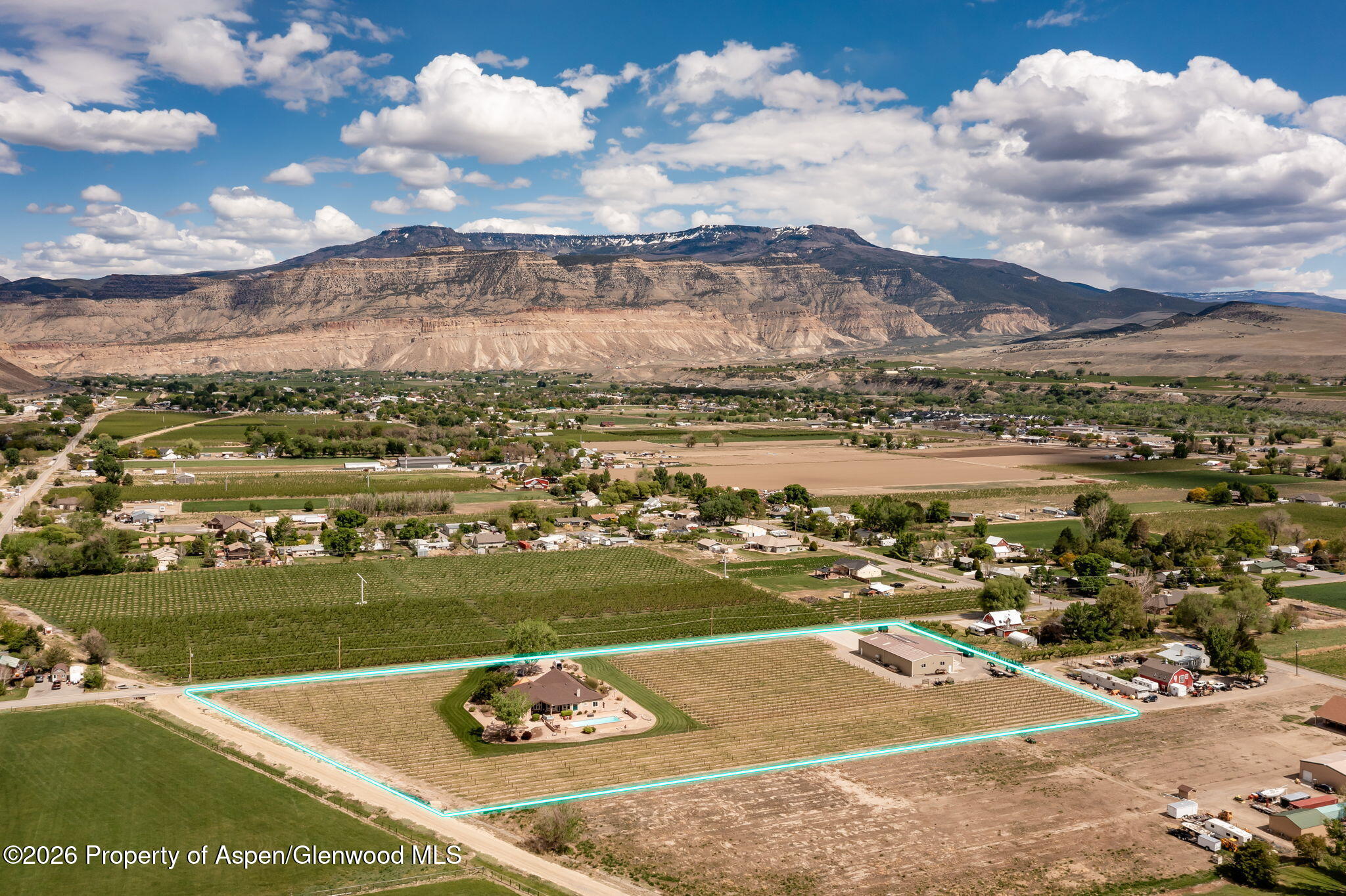 759 36 3/10 Road Palisade CO 81526