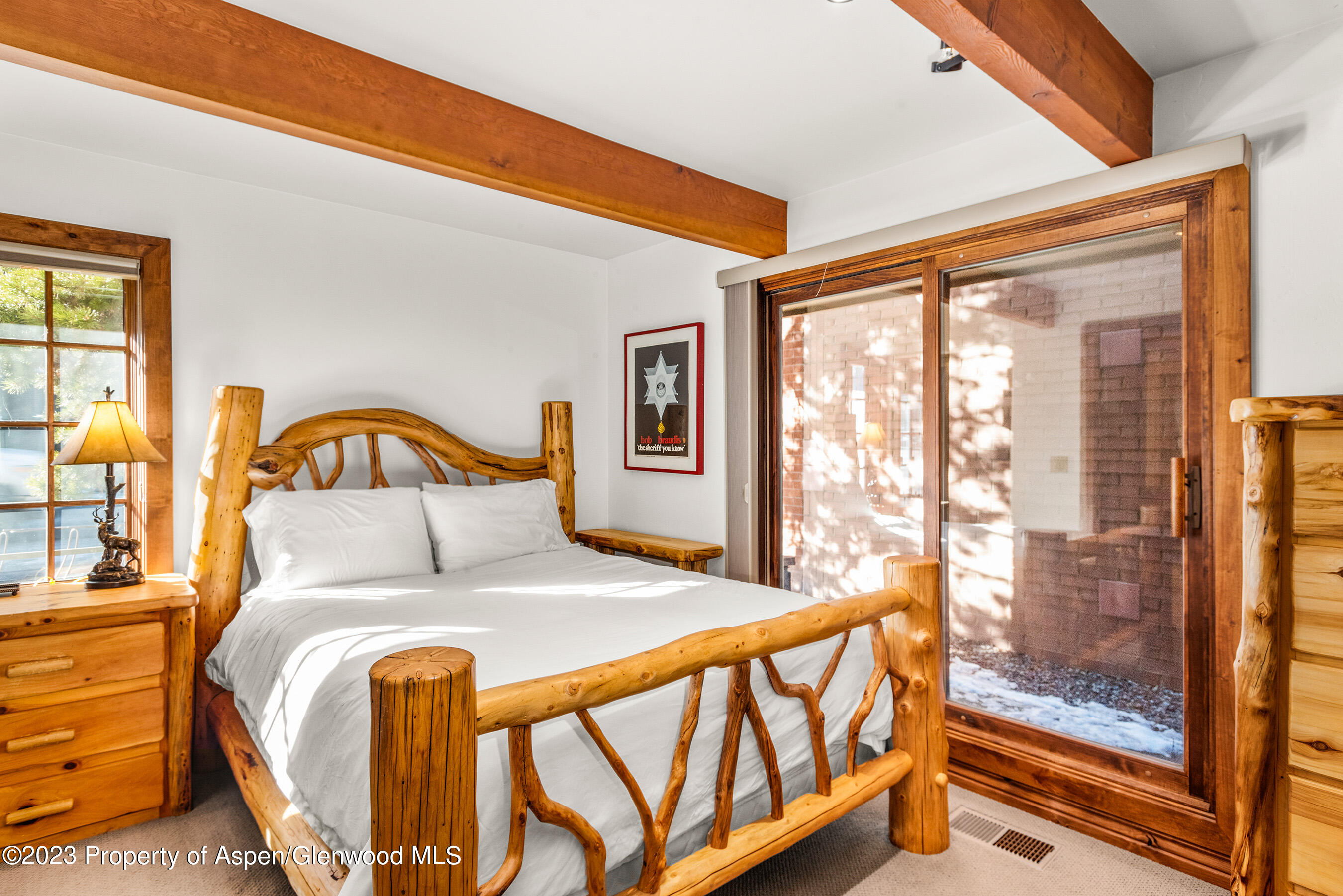 630 E Cooper Avenue Aspen CO 81611