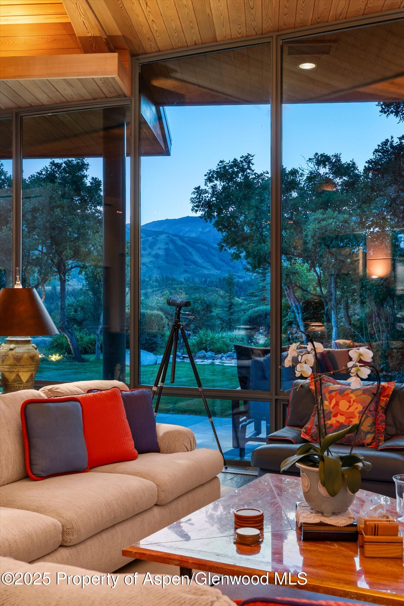 505 Wildcat Vista Snowmass Village CO 81615