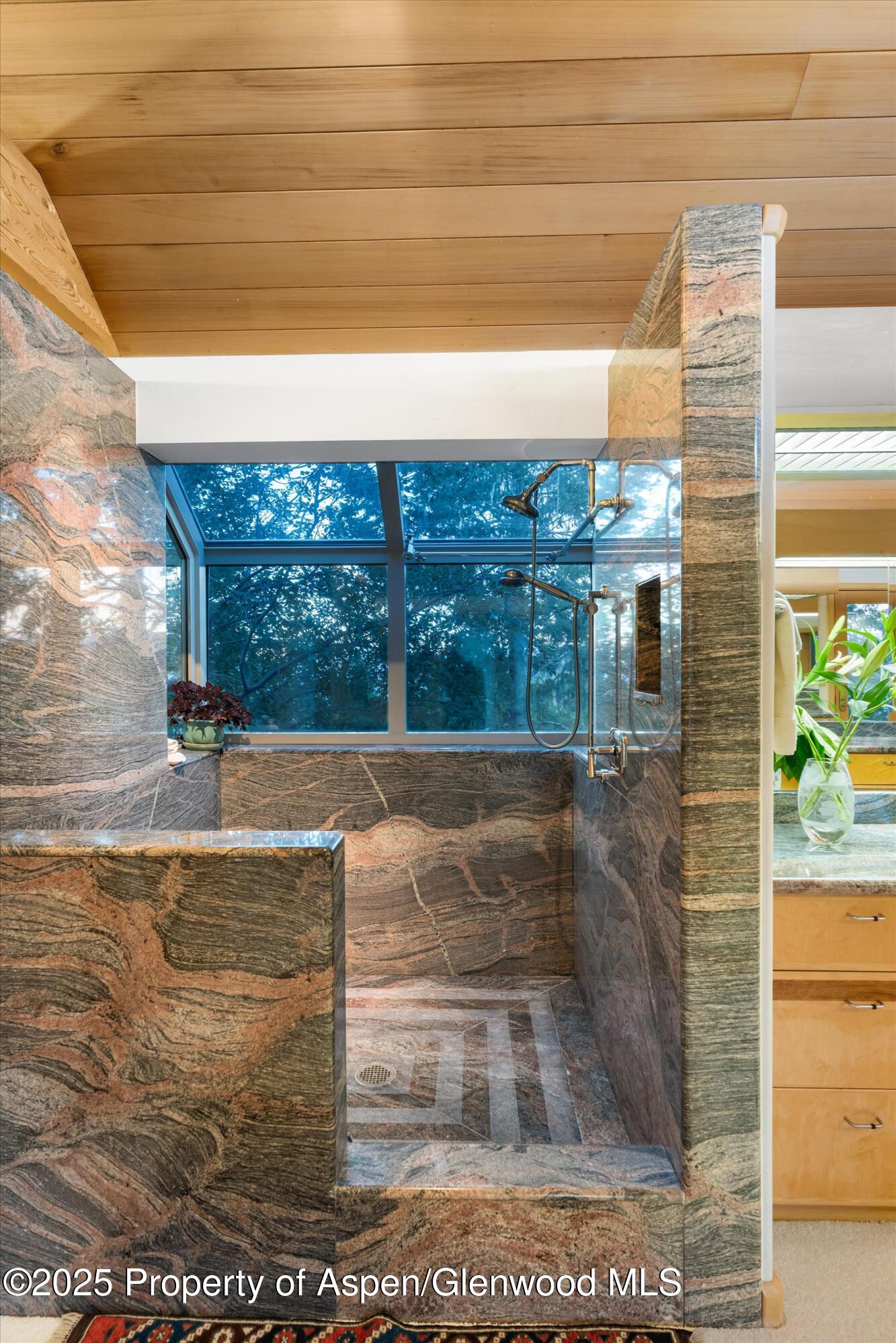 505 Wildcat Vista Snowmass Village CO 81615