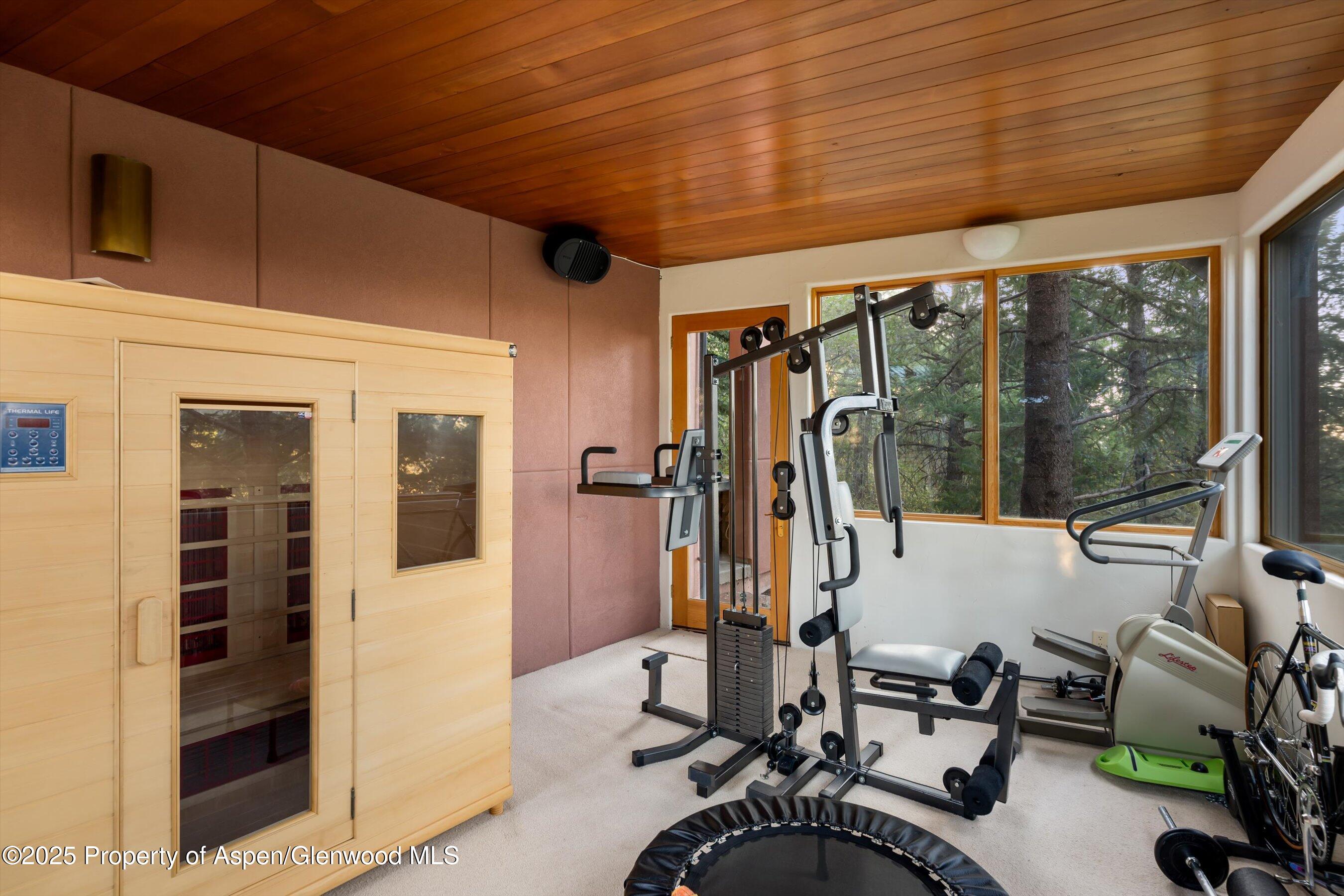 505 Wildcat Vista Snowmass Village CO 81615