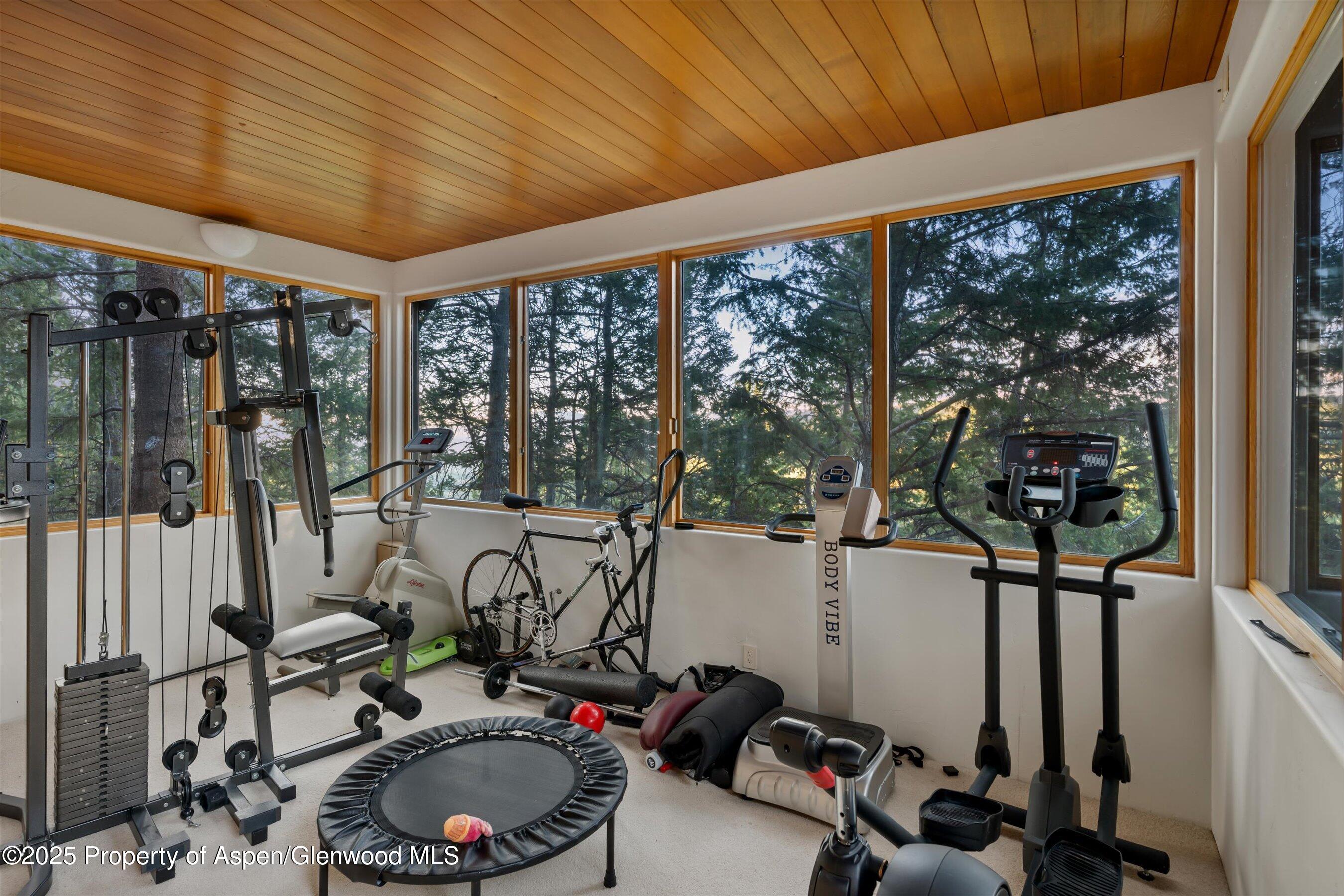 505 Wildcat Vista Snowmass Village CO 81615