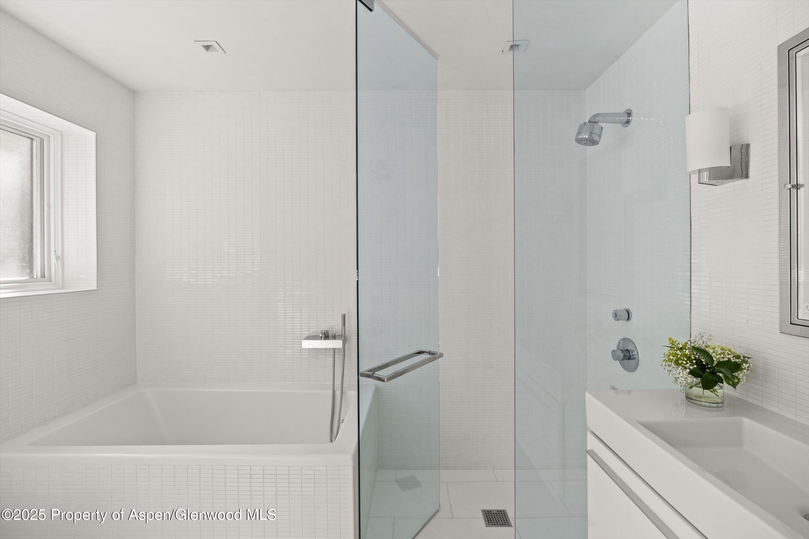 1220 Red Butte Drive Aspen CO 81611