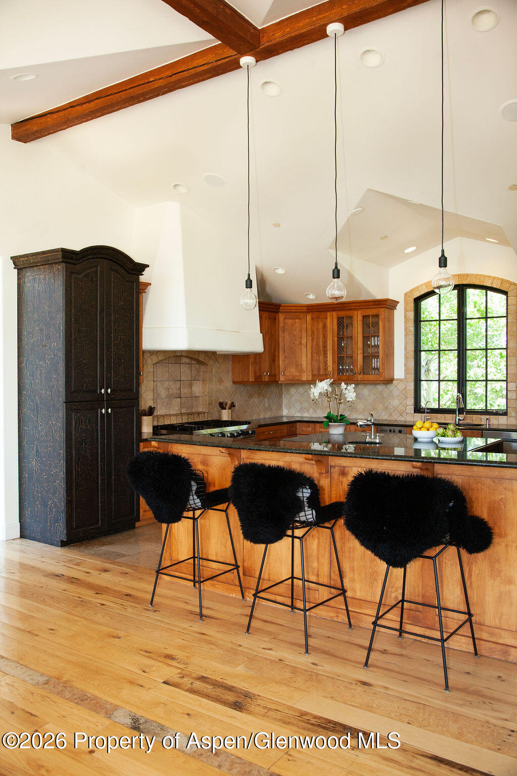 2908 Juniper Hill Drive Aspen CO 81611