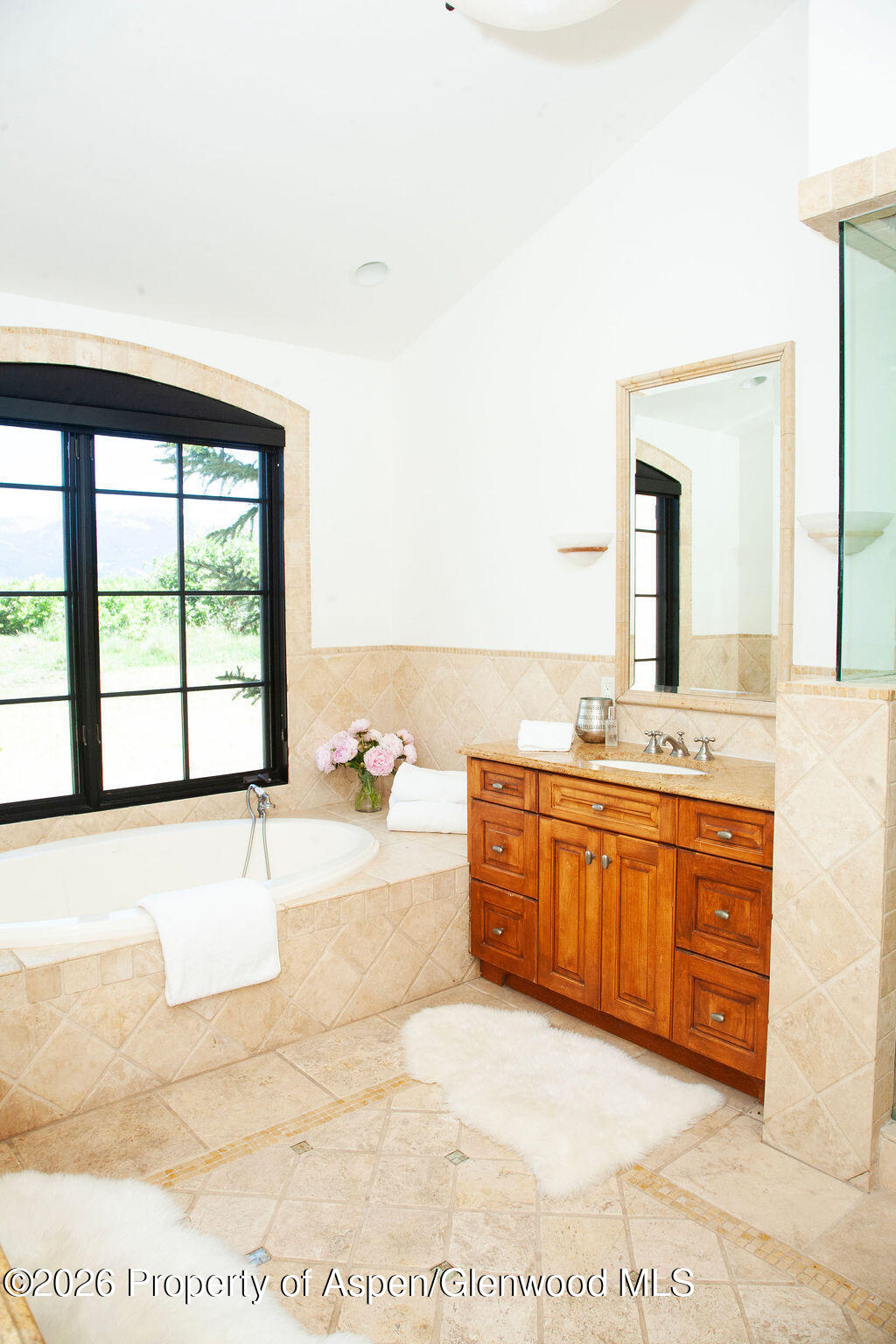 2908 Juniper Hill Drive Aspen CO 81611