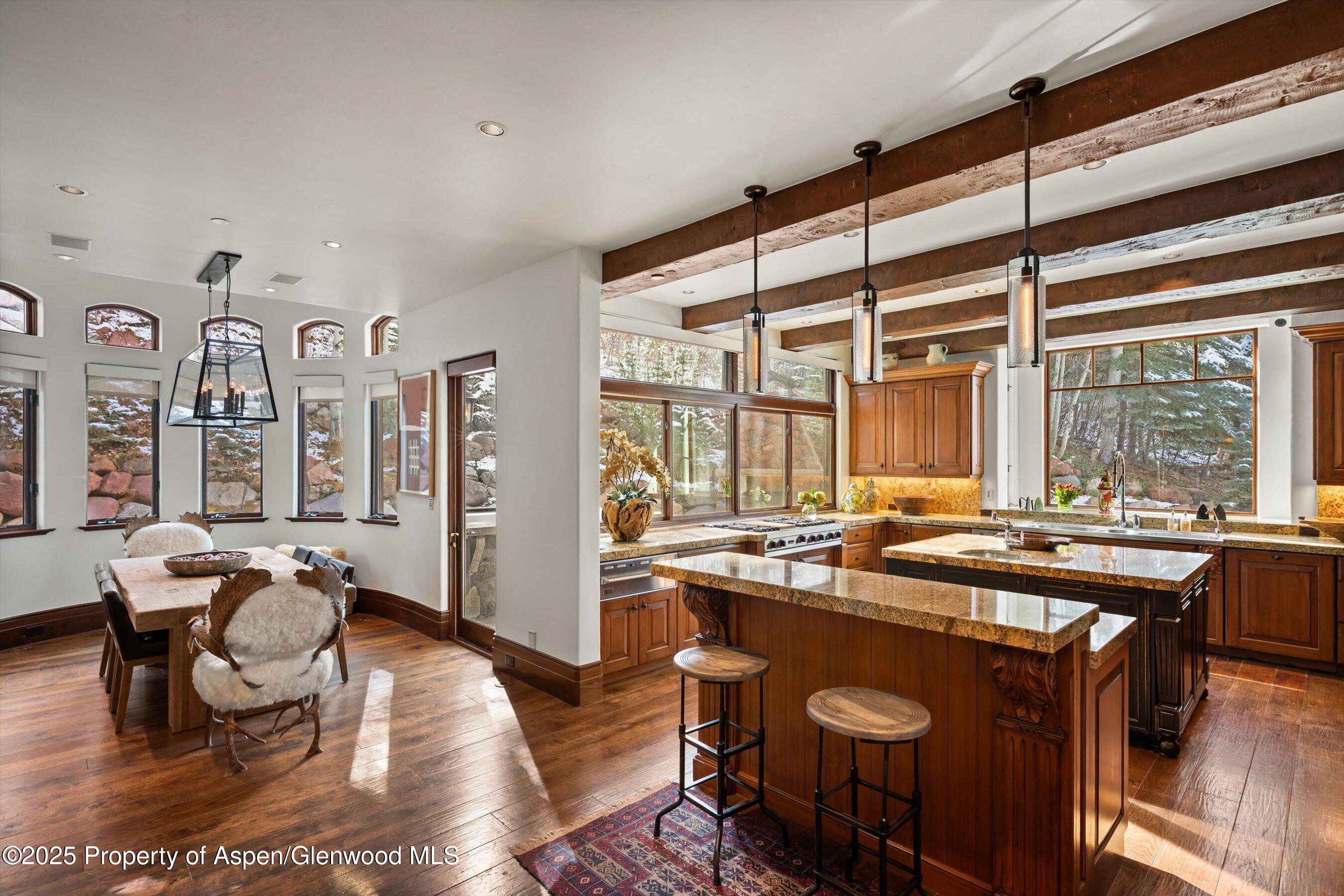 761 Moore Drive Aspen CO 81611