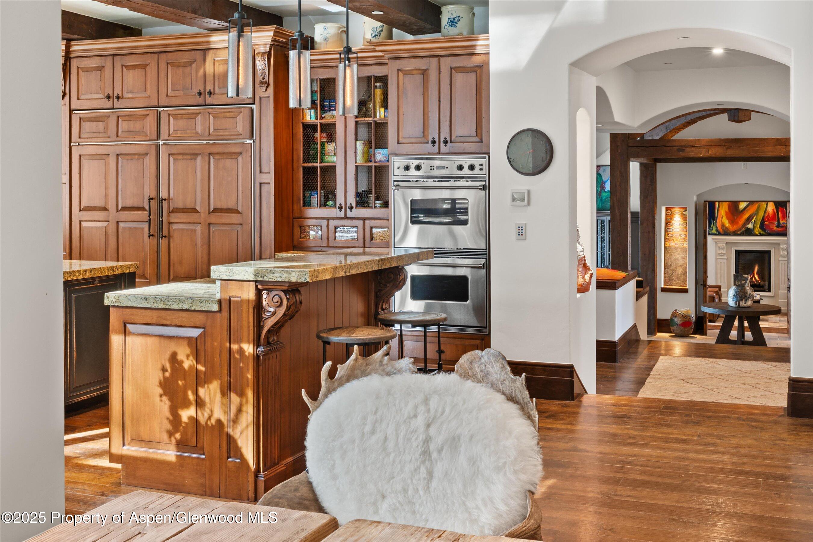 761 Moore Drive Aspen CO 81611