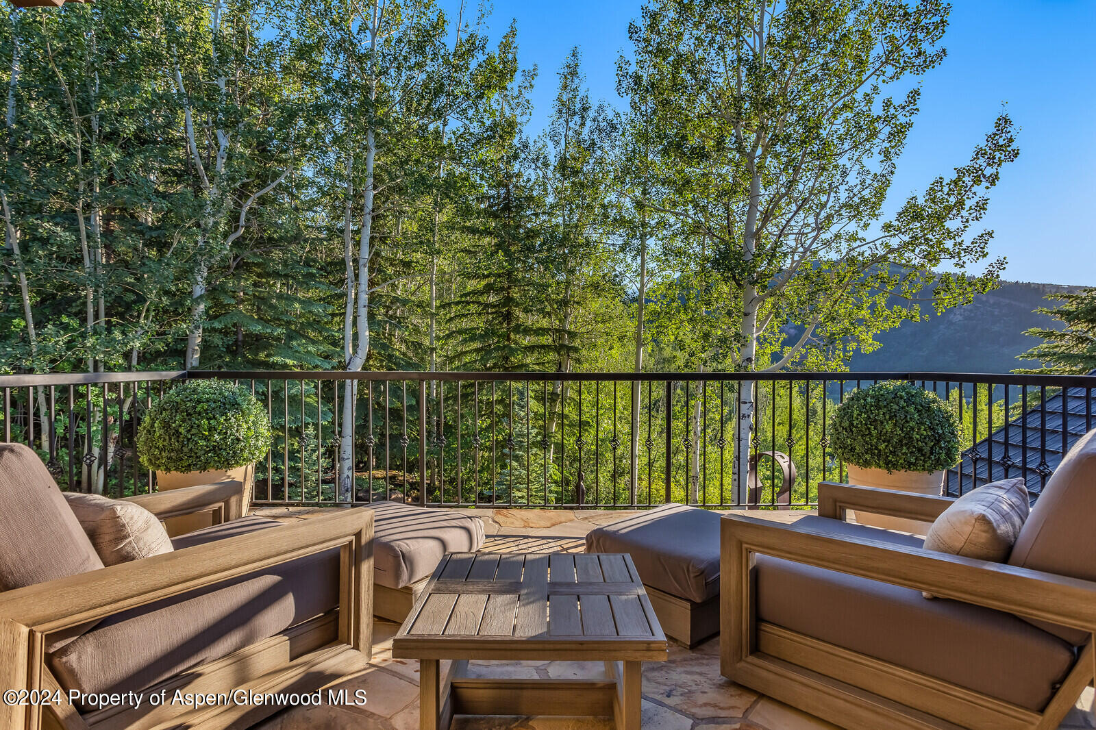 761 Moore Drive Aspen CO 81611