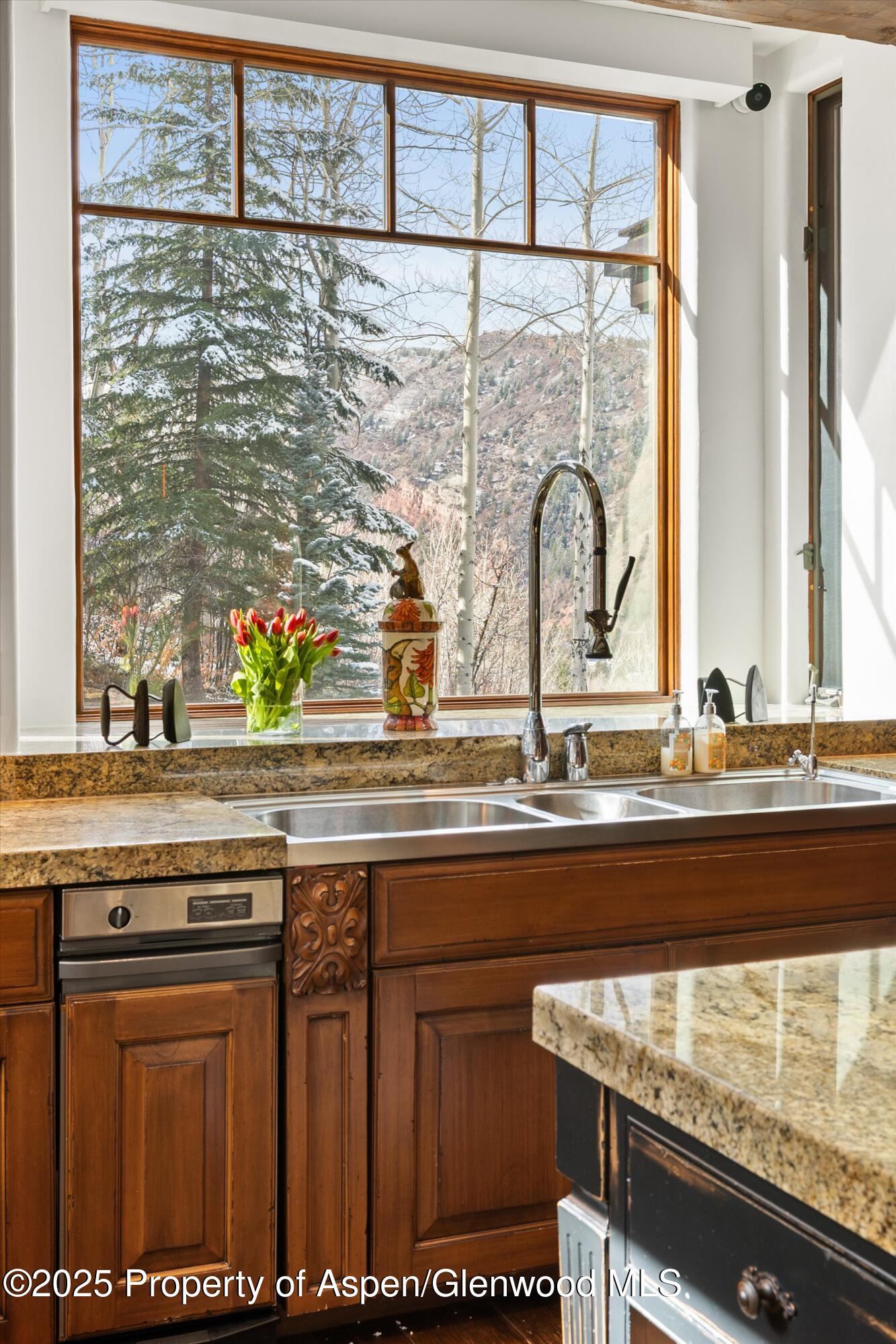 761 Moore Drive Aspen CO 81611