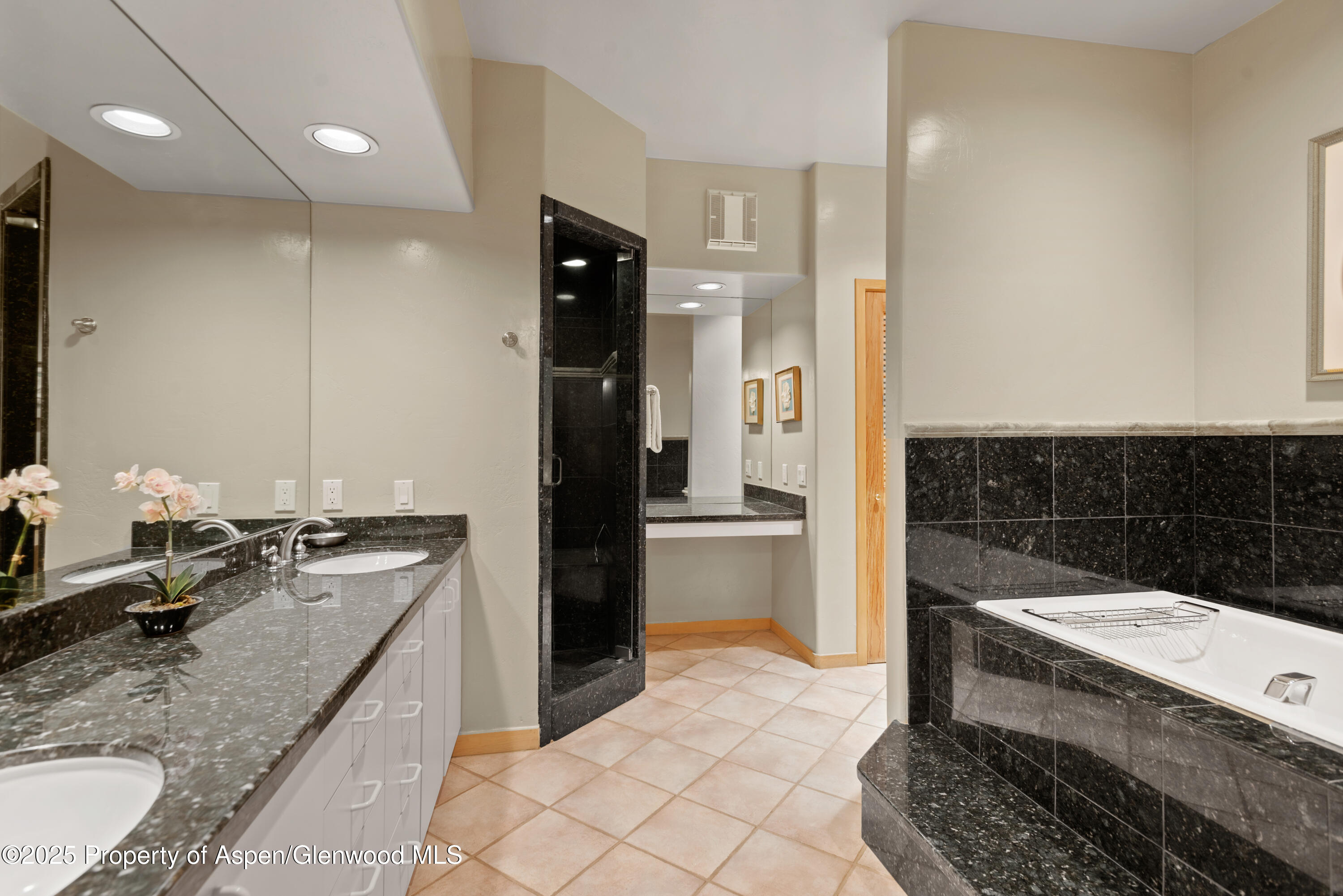 106 N Little Texas Lane Woody Creek CO 81656