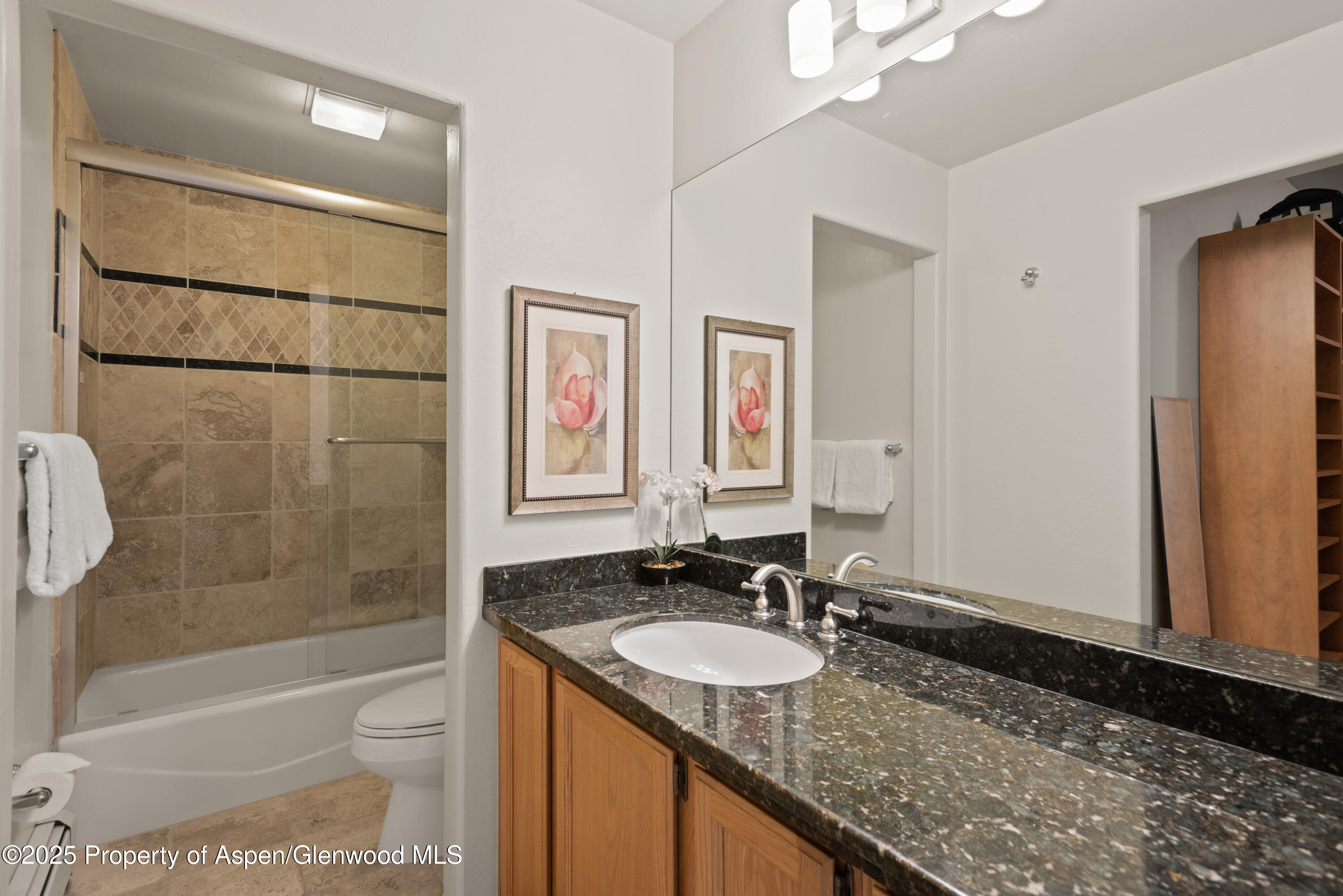 106 N Little Texas Lane Woody Creek CO 81656