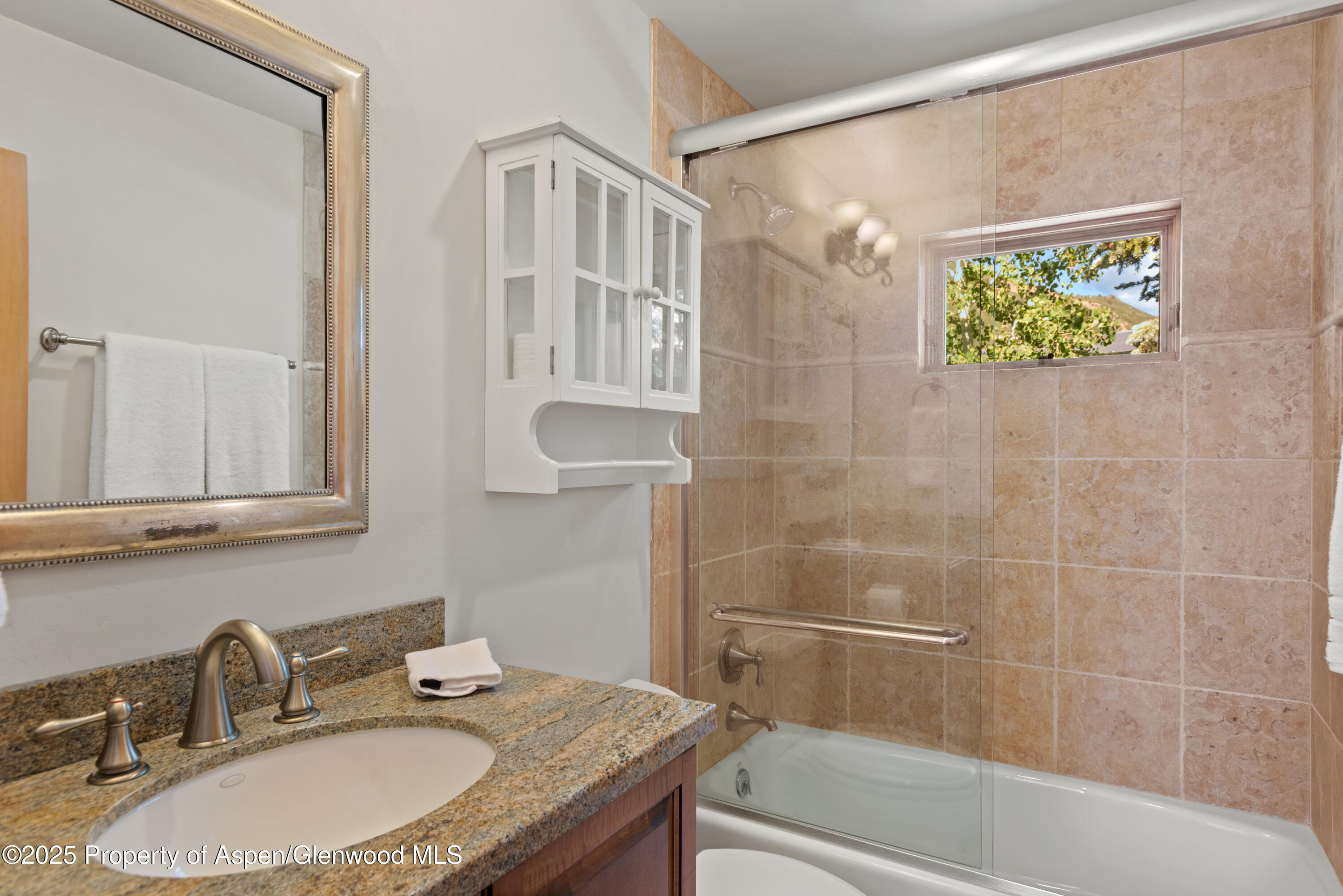 106 N Little Texas Lane Woody Creek CO 81656