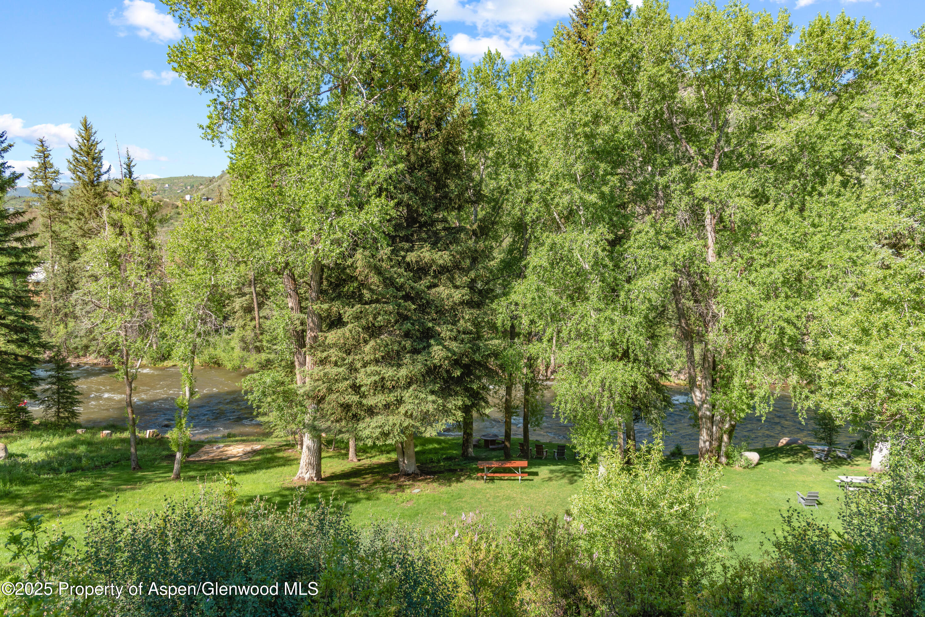 106 N Little Texas Lane Woody Creek CO 81656