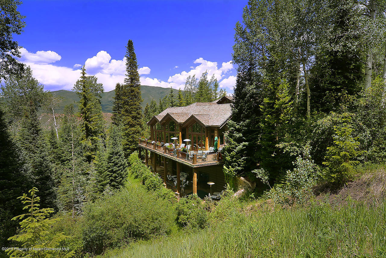 81 N Willow Court Aspen CO 81611