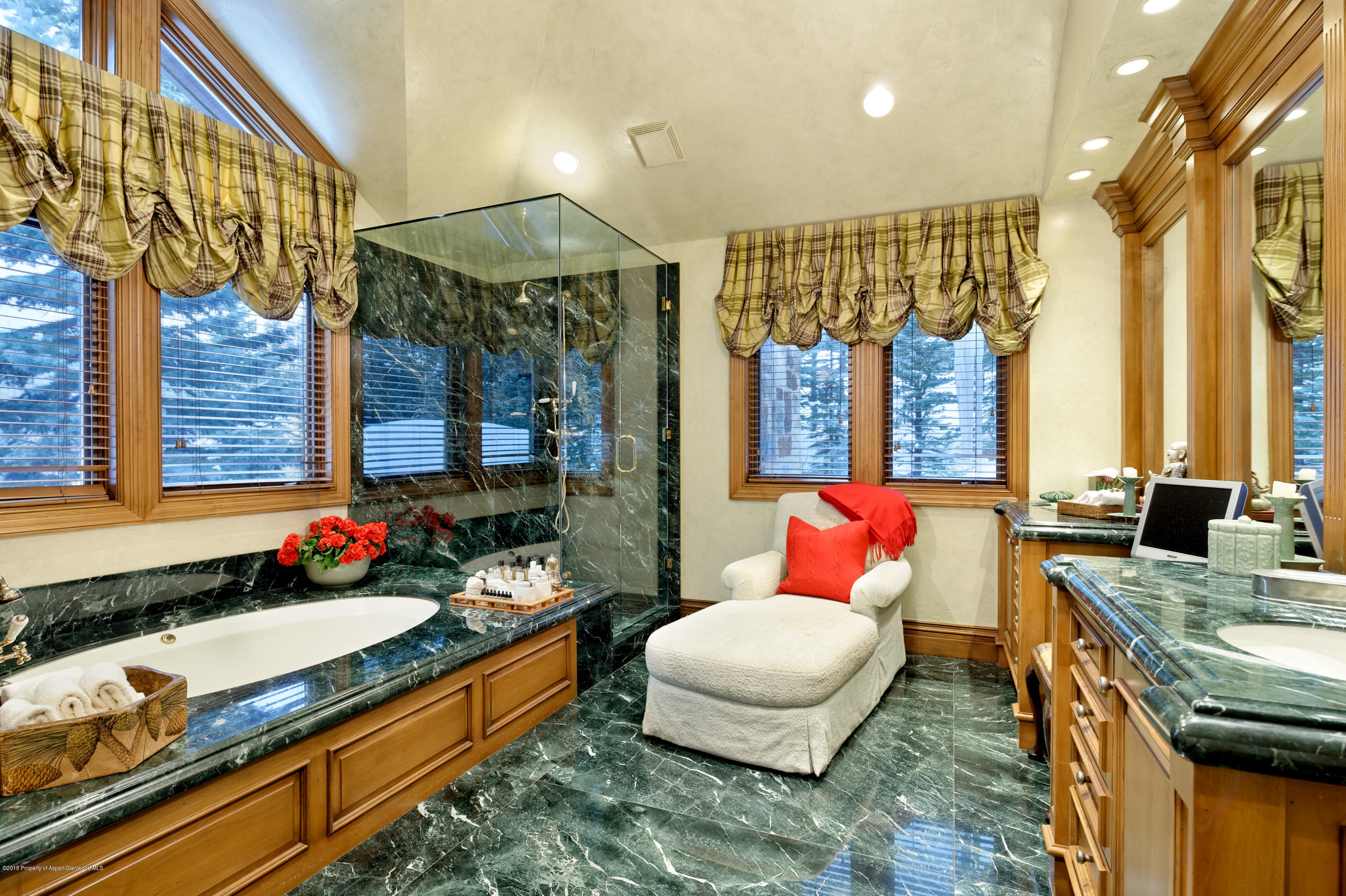81 N Willow Court Aspen CO 81611