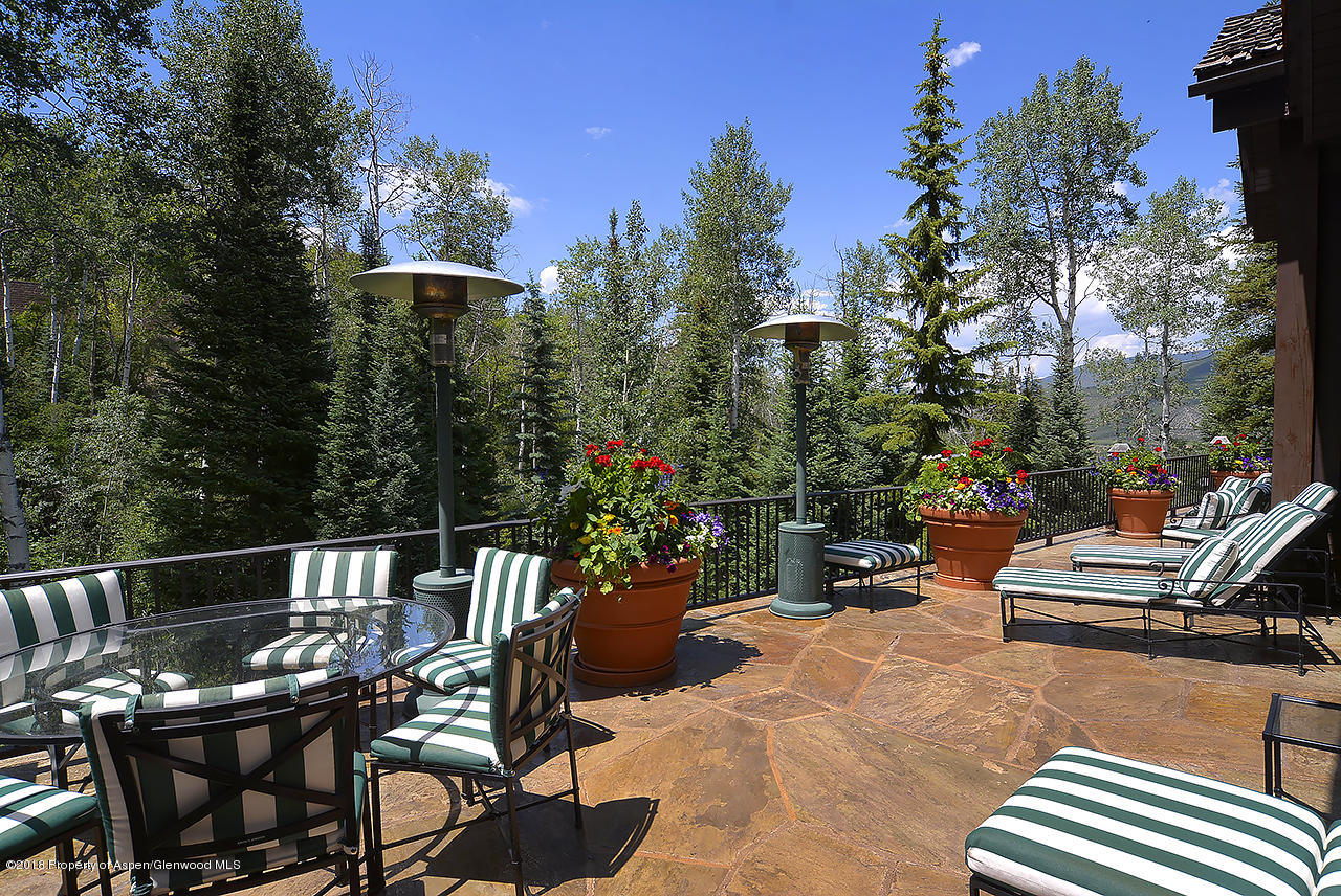 81 N Willow Court Aspen CO 81611