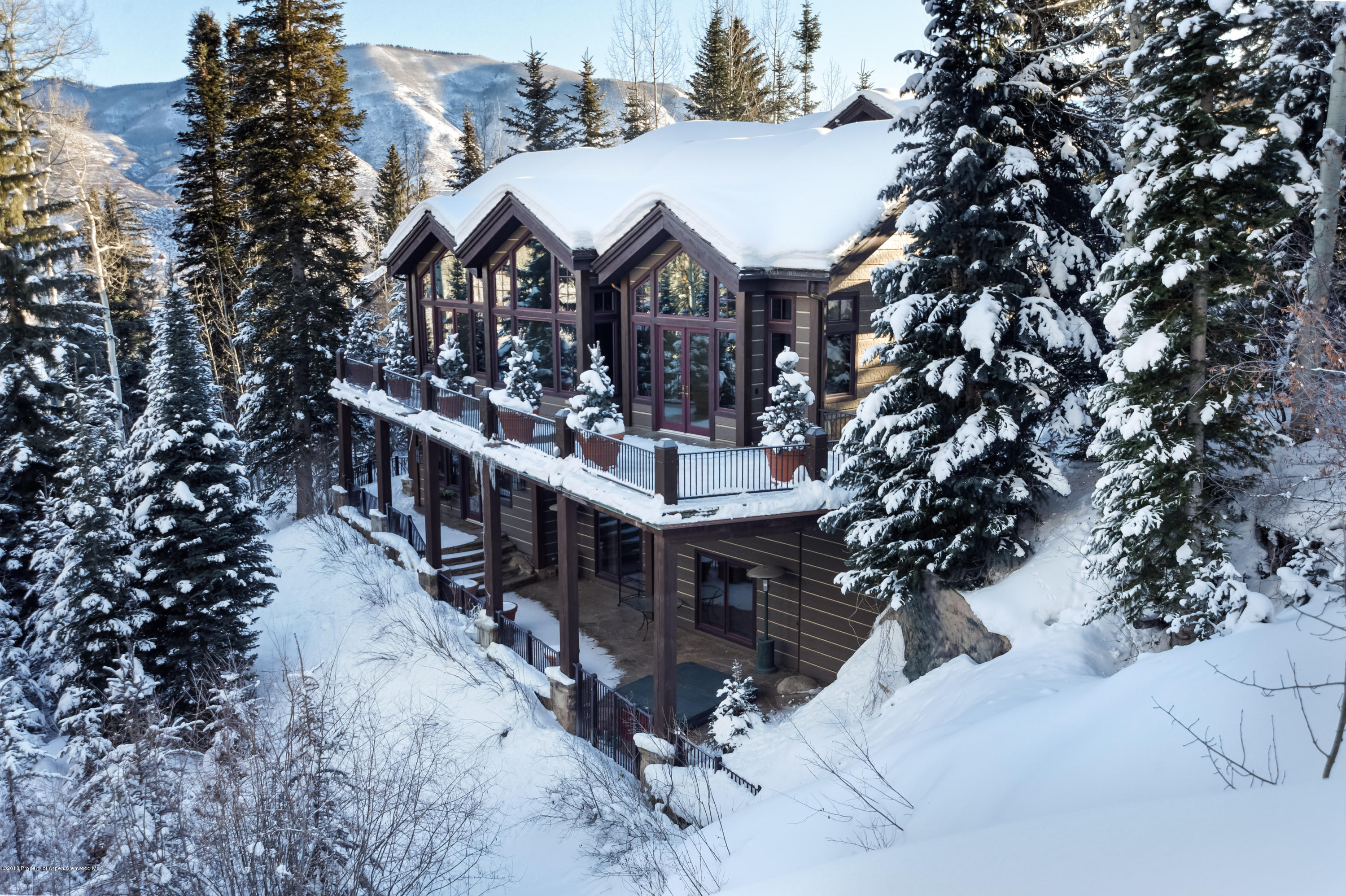 81 N Willow Court Aspen CO 81611