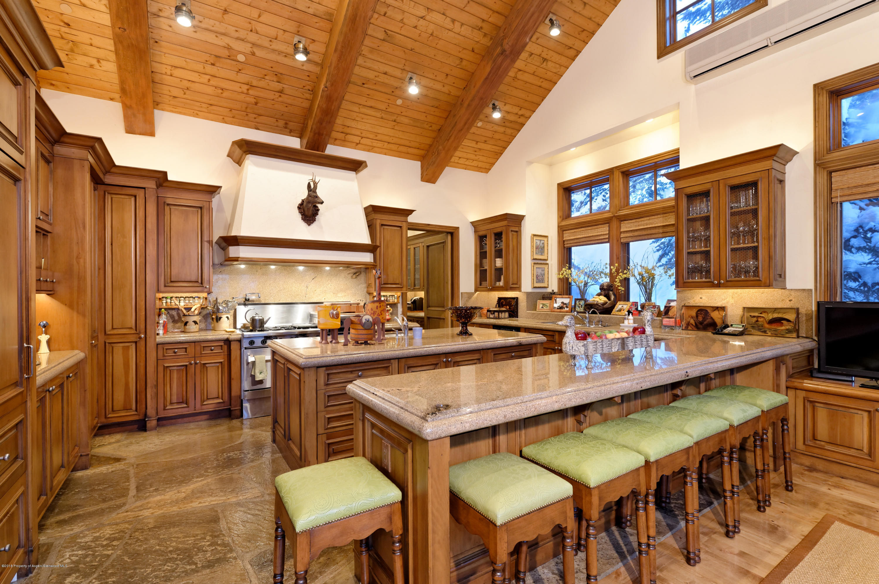 81 N Willow Court Aspen CO 81611