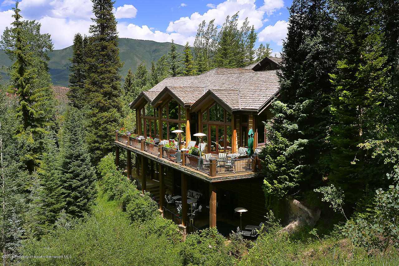 81 N Willow Court Aspen CO 81611