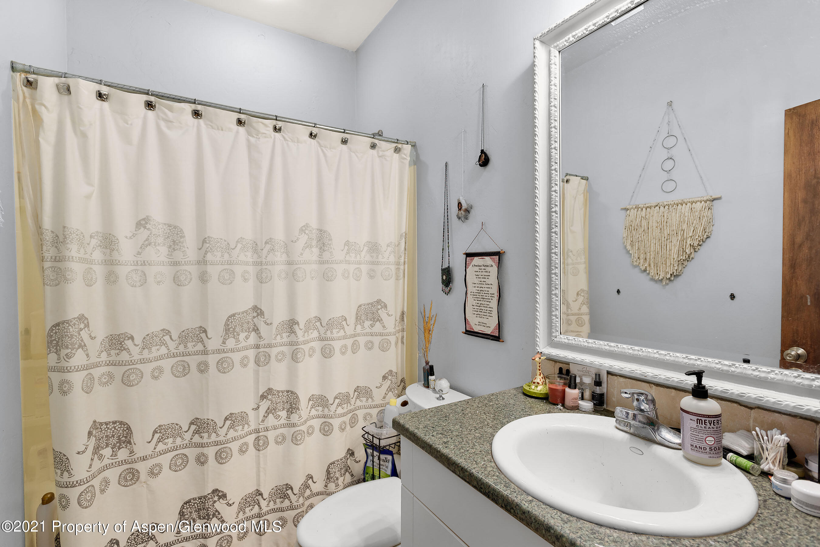 350 N 11th Street Carbondale CO 81623