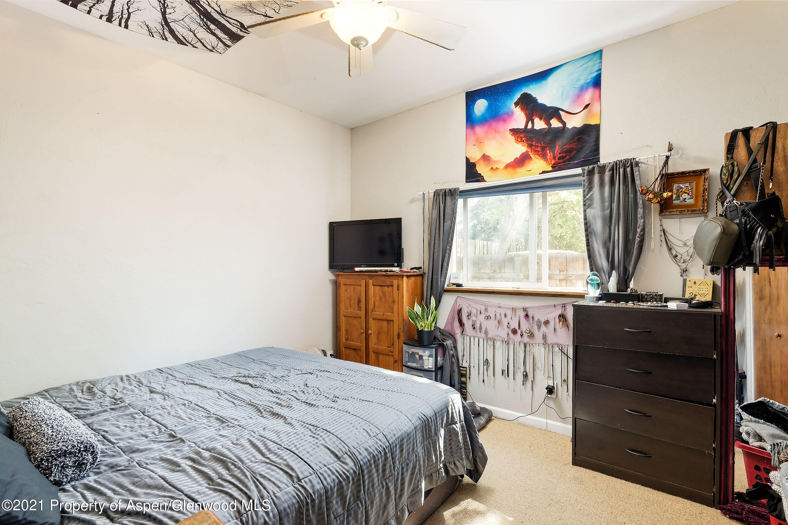 350 N 11th Street Carbondale CO 81623