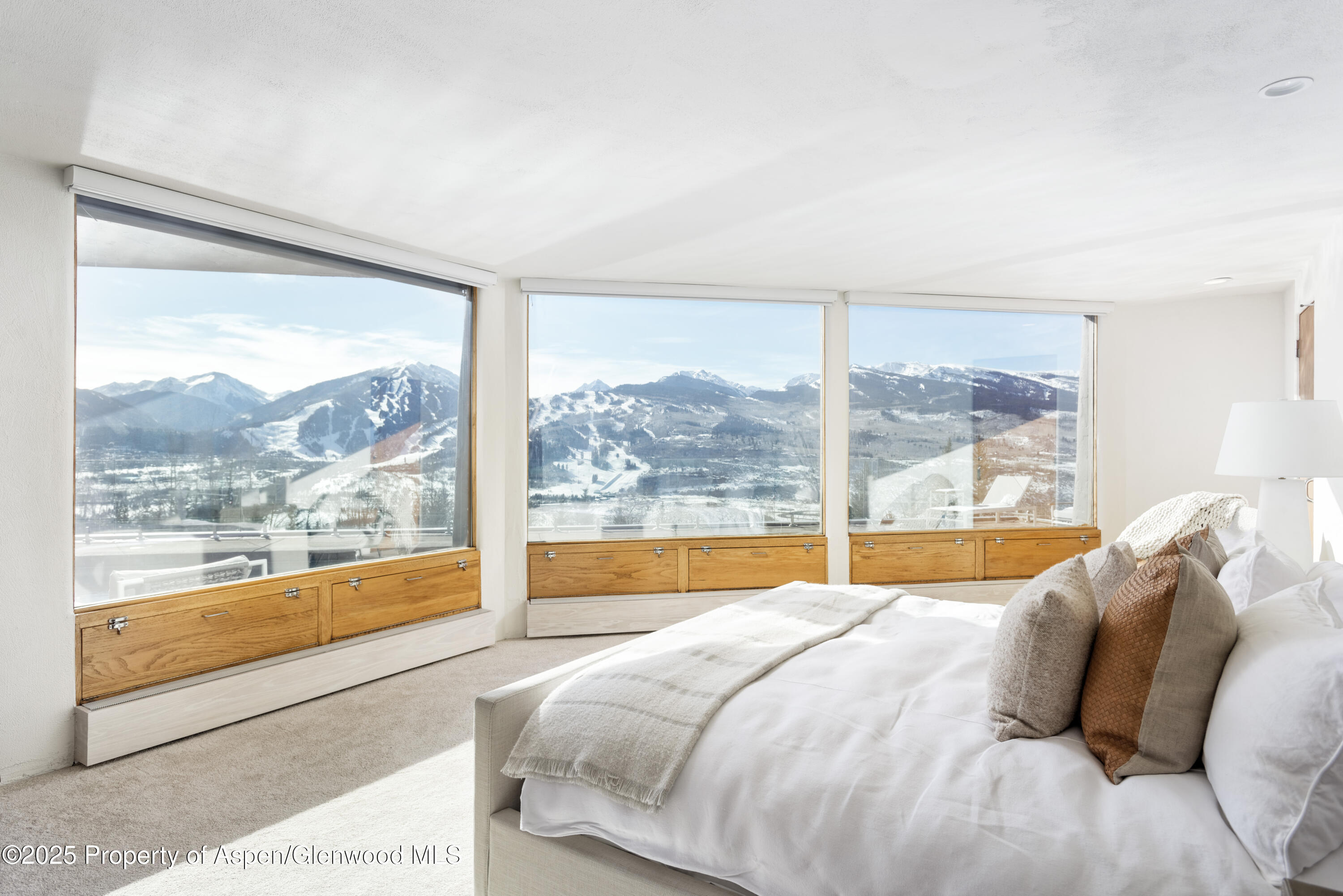 699 Eppley Drive Aspen CO 81611