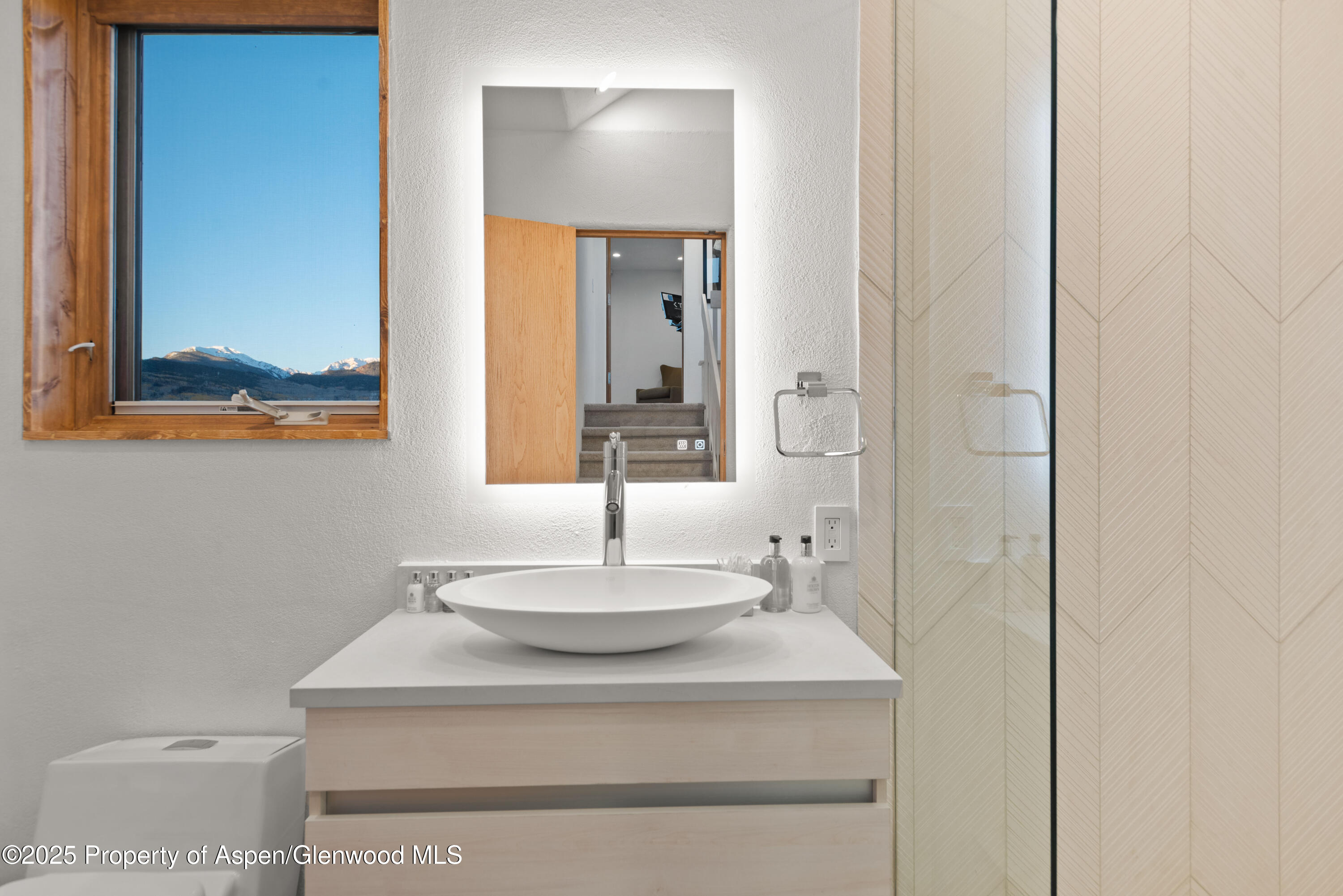 699 Eppley Drive Aspen CO 81611