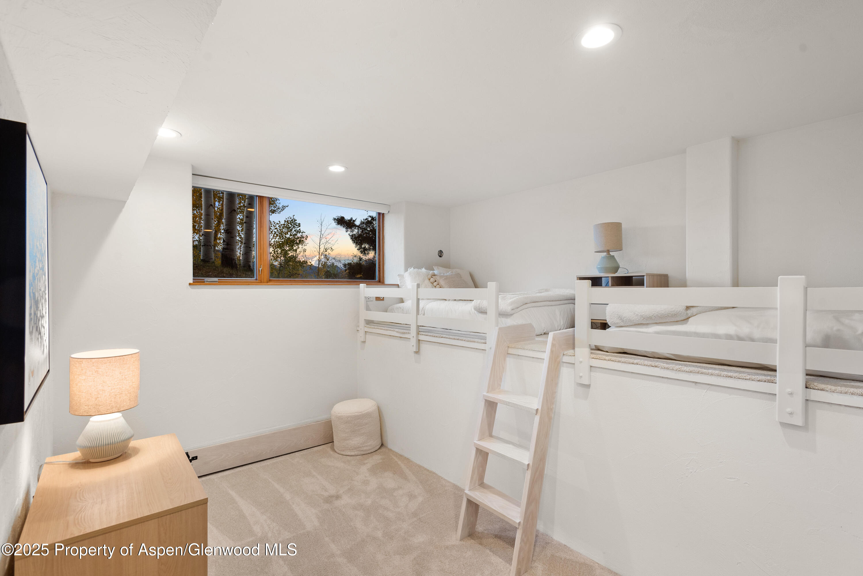 699 Eppley Drive Aspen CO 81611