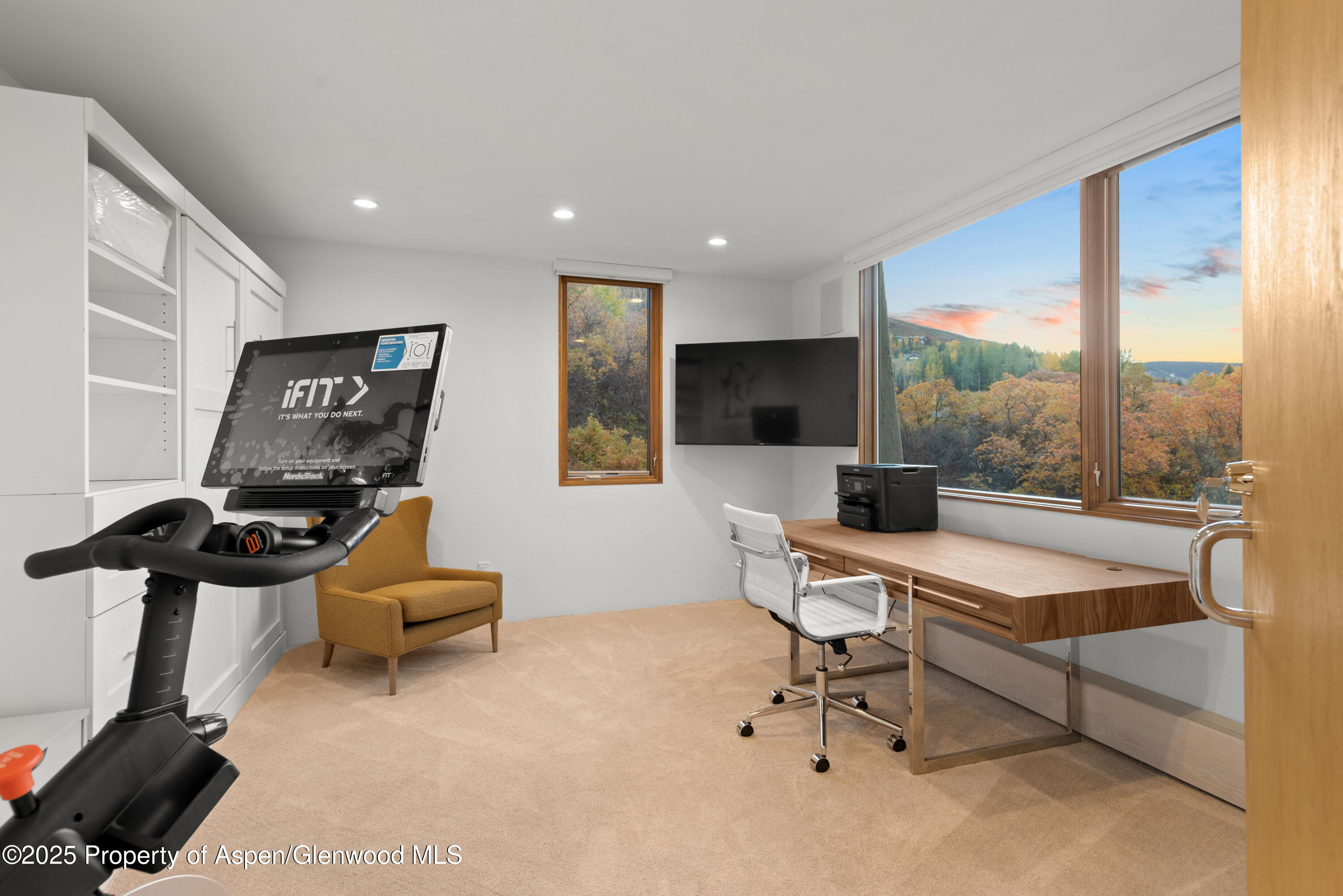 699 Eppley Drive Aspen CO 81611