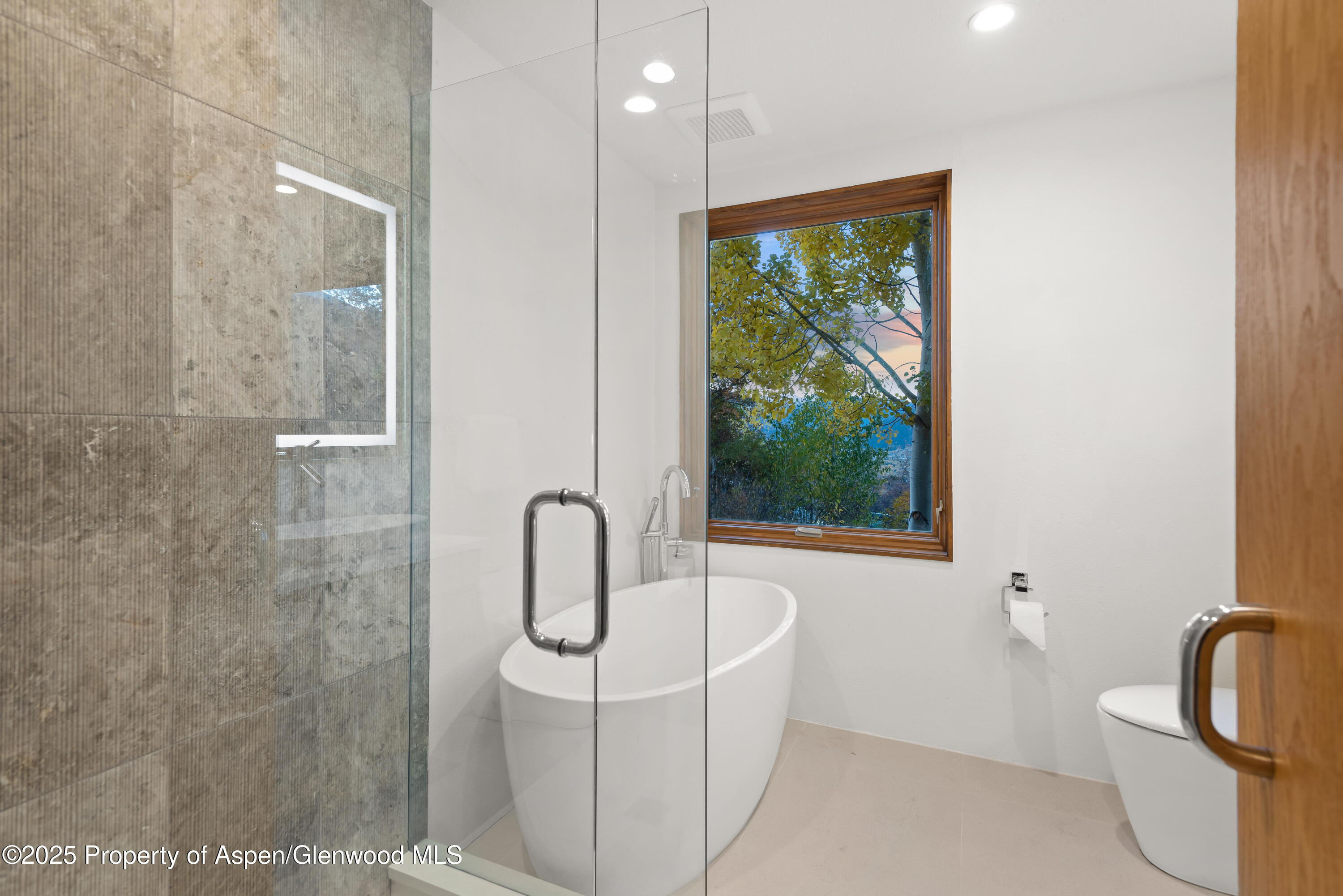 699 Eppley Drive Aspen CO 81611