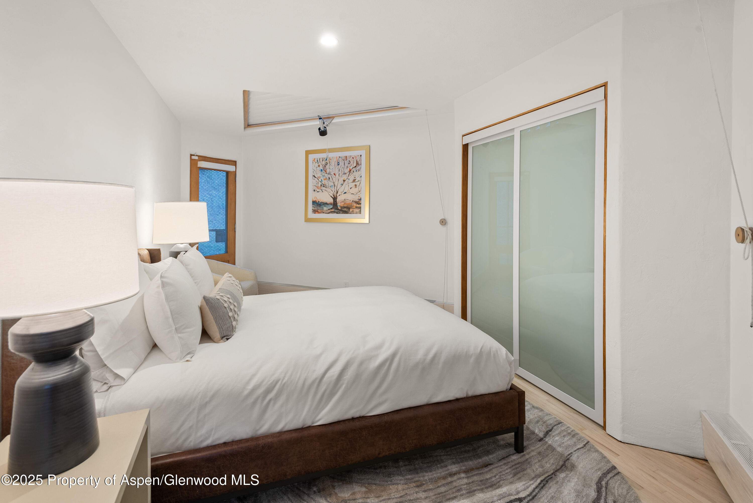 699 Eppley Drive Aspen CO 81611