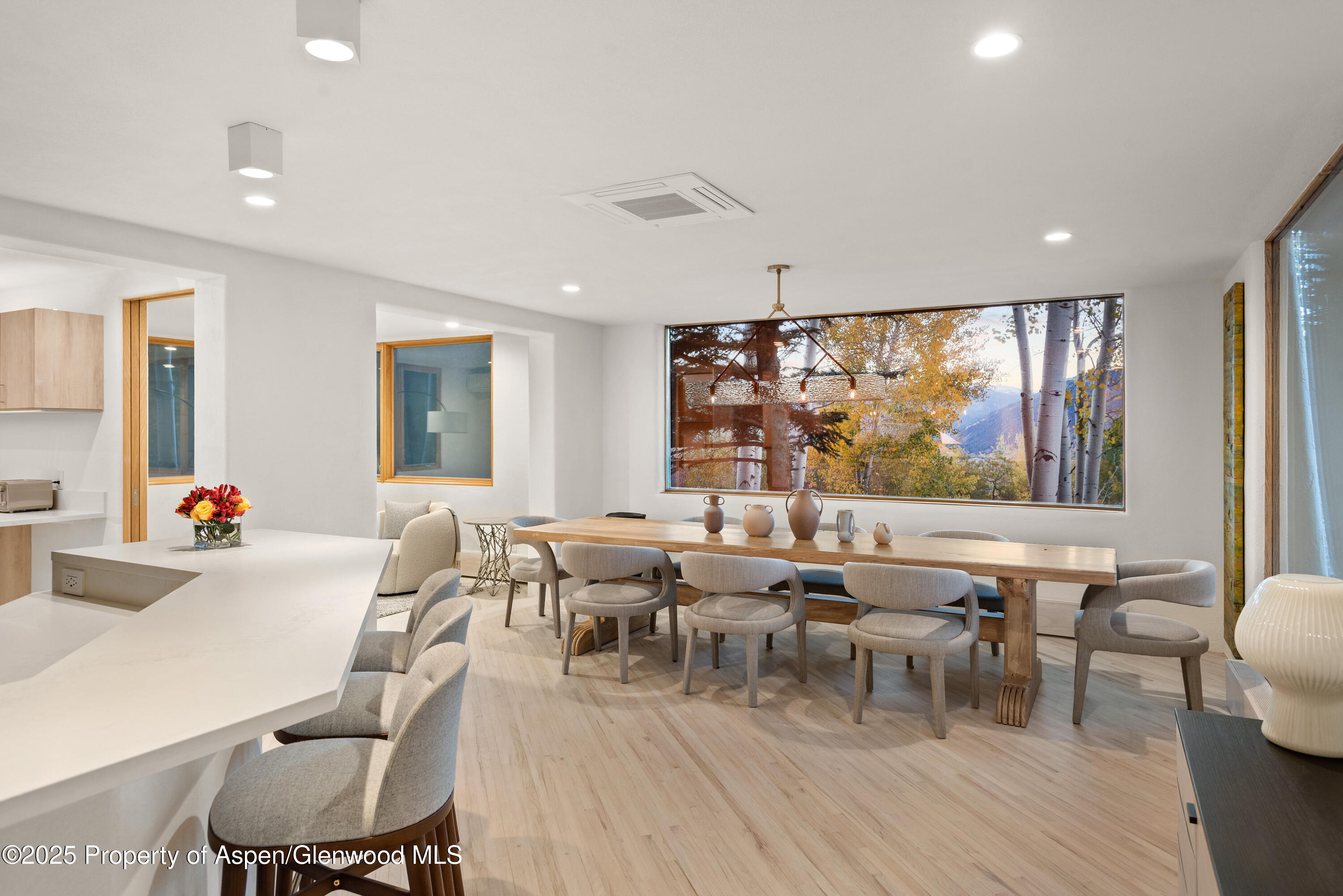 699 Eppley Drive Aspen CO 81611